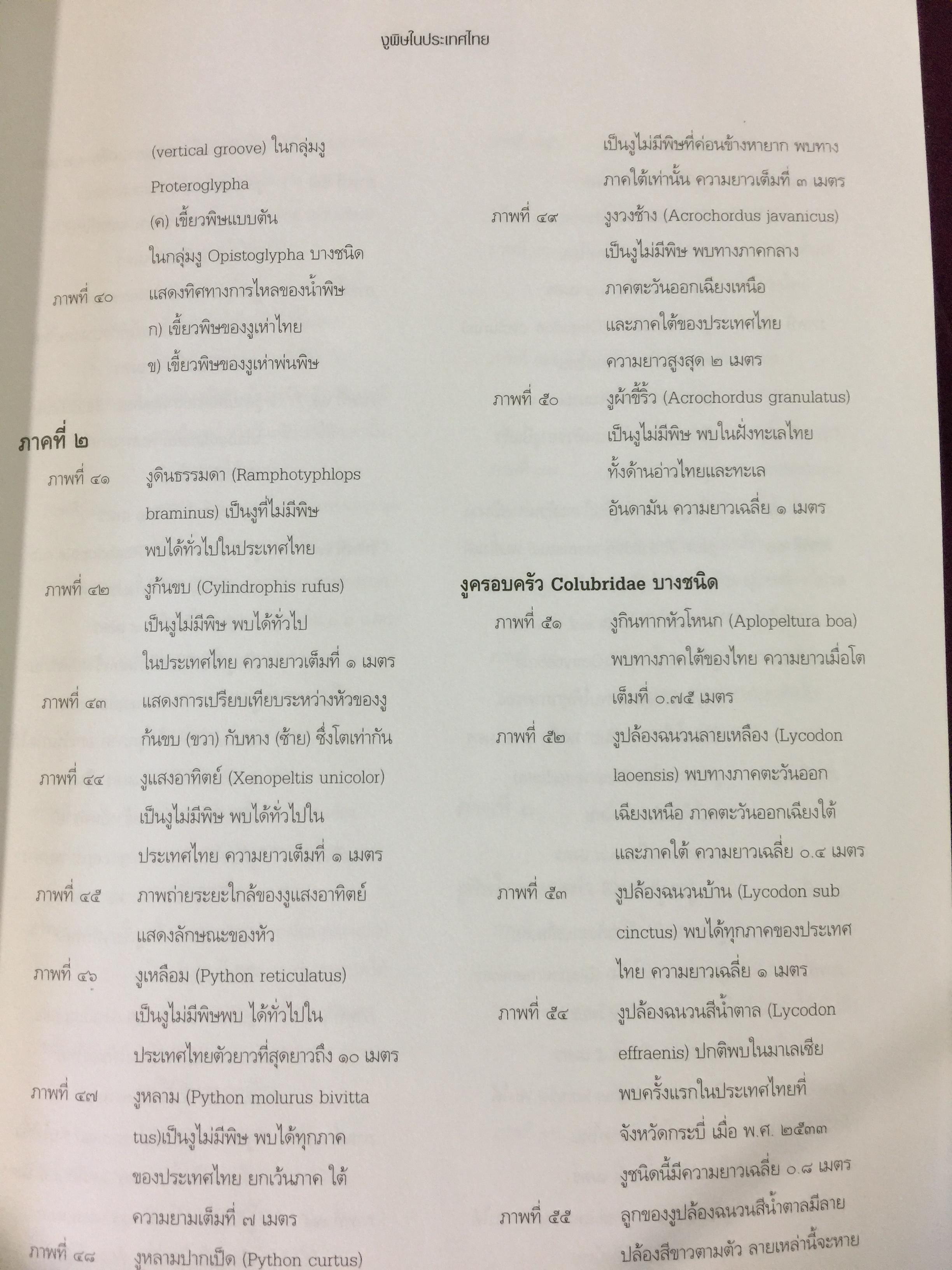 งูพิษ ในประเทศไทย ทุกแง่มุมชีวิตและลักษณะนิสัยของงูพิษ โดยผู้เชี่ยวชาญเรื่องงูมากที่สุดในประเทศไทยผู้เขียน ไพบูลย์ จินตกุล 0 กก.