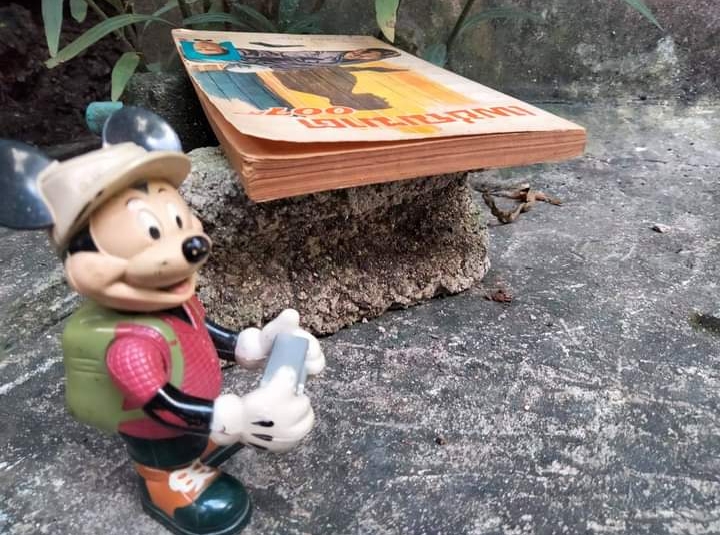 พยัคฆ์ร้าย007 ชุด James Bond ลำดับที่ 6