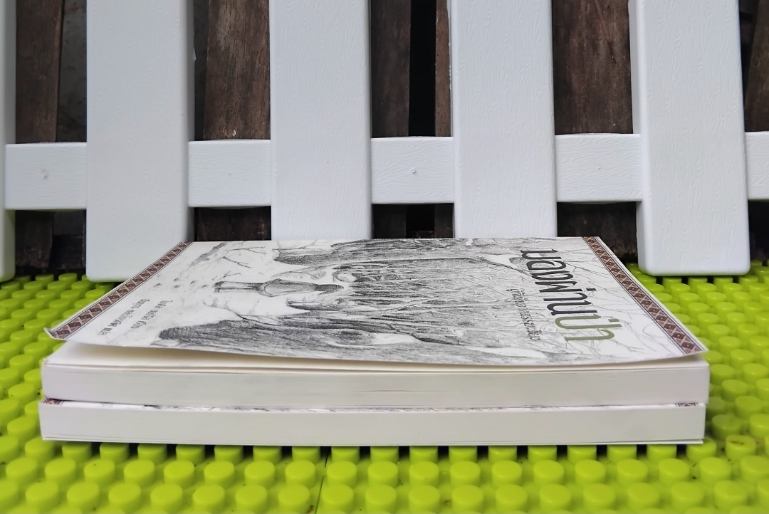 มองผ่านป่า ผู้ที่เห็นจากสรรพเสียง Sees Behind Trees โดย Michael Dorris วรรณกรรมแปลเยาวชน มือ 1