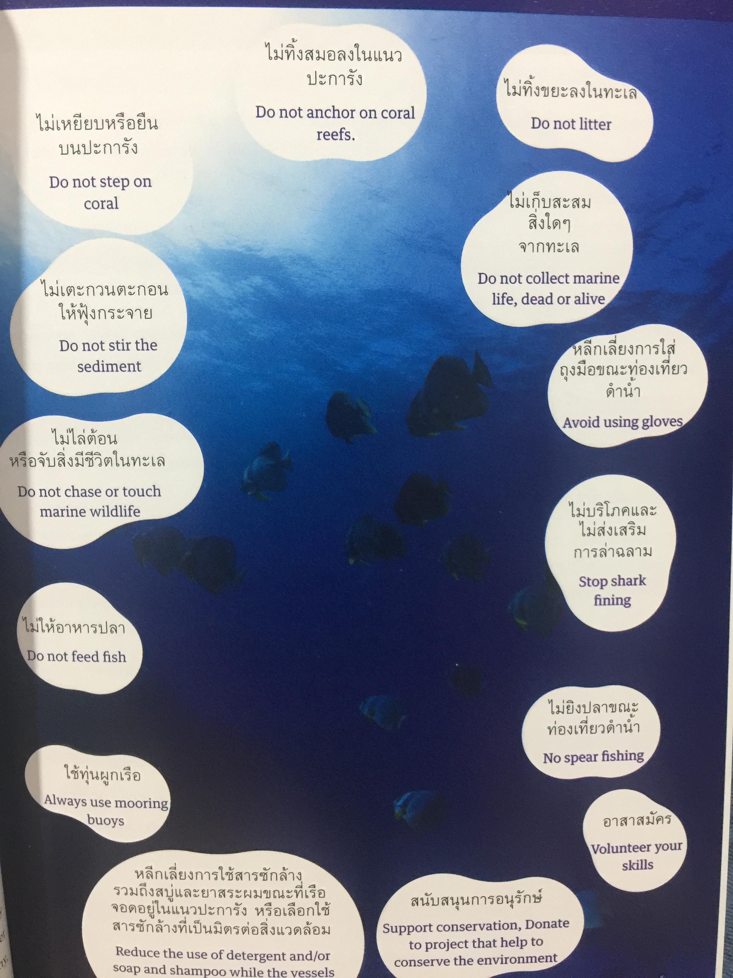 แหล่งดำน้ำที่สำคัญในประเทศไทย. DIVING ATTRACTIONS IN THAILAND 0 กก.