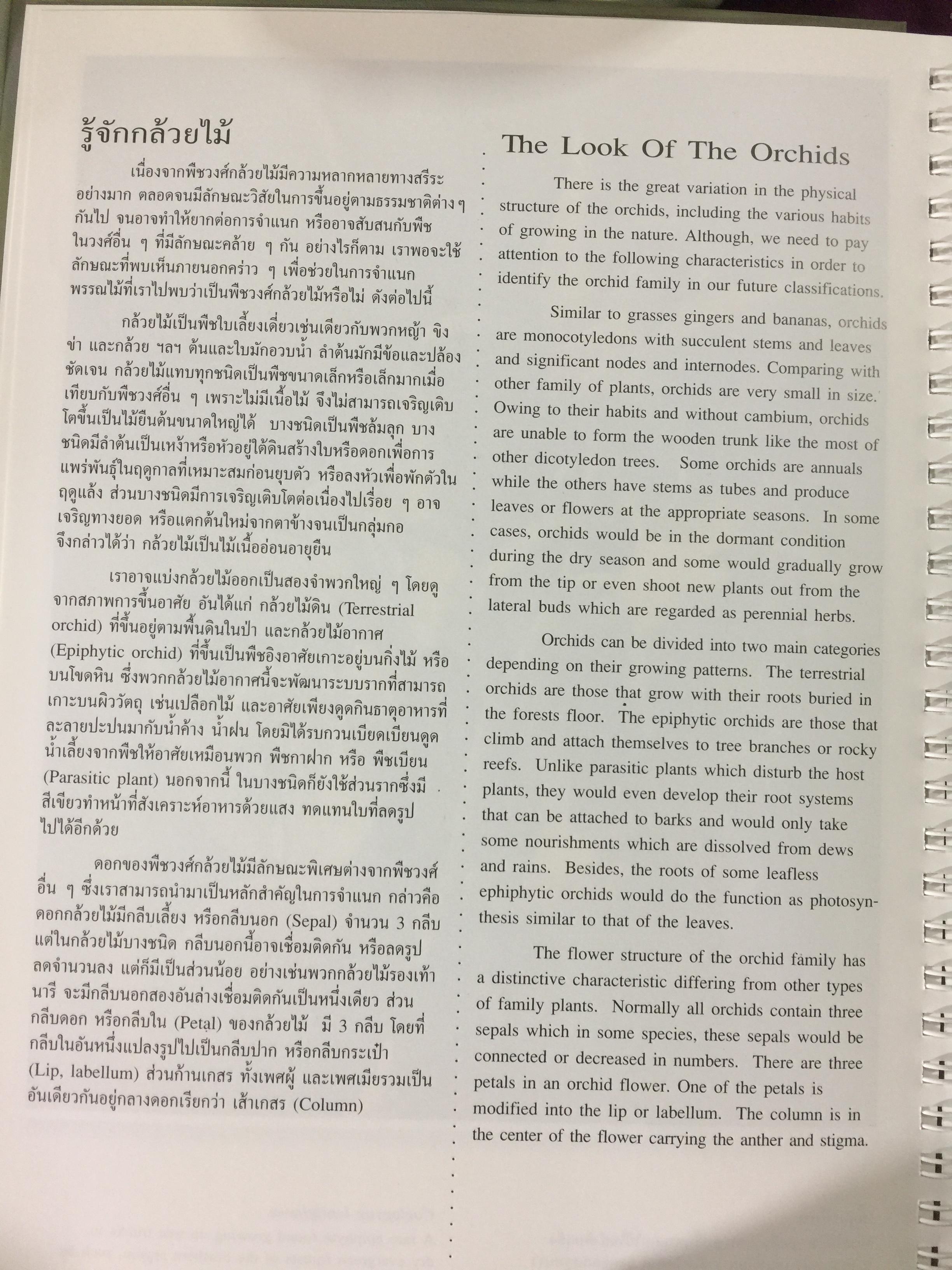 Wild Orchids of Thailand 0 กก.