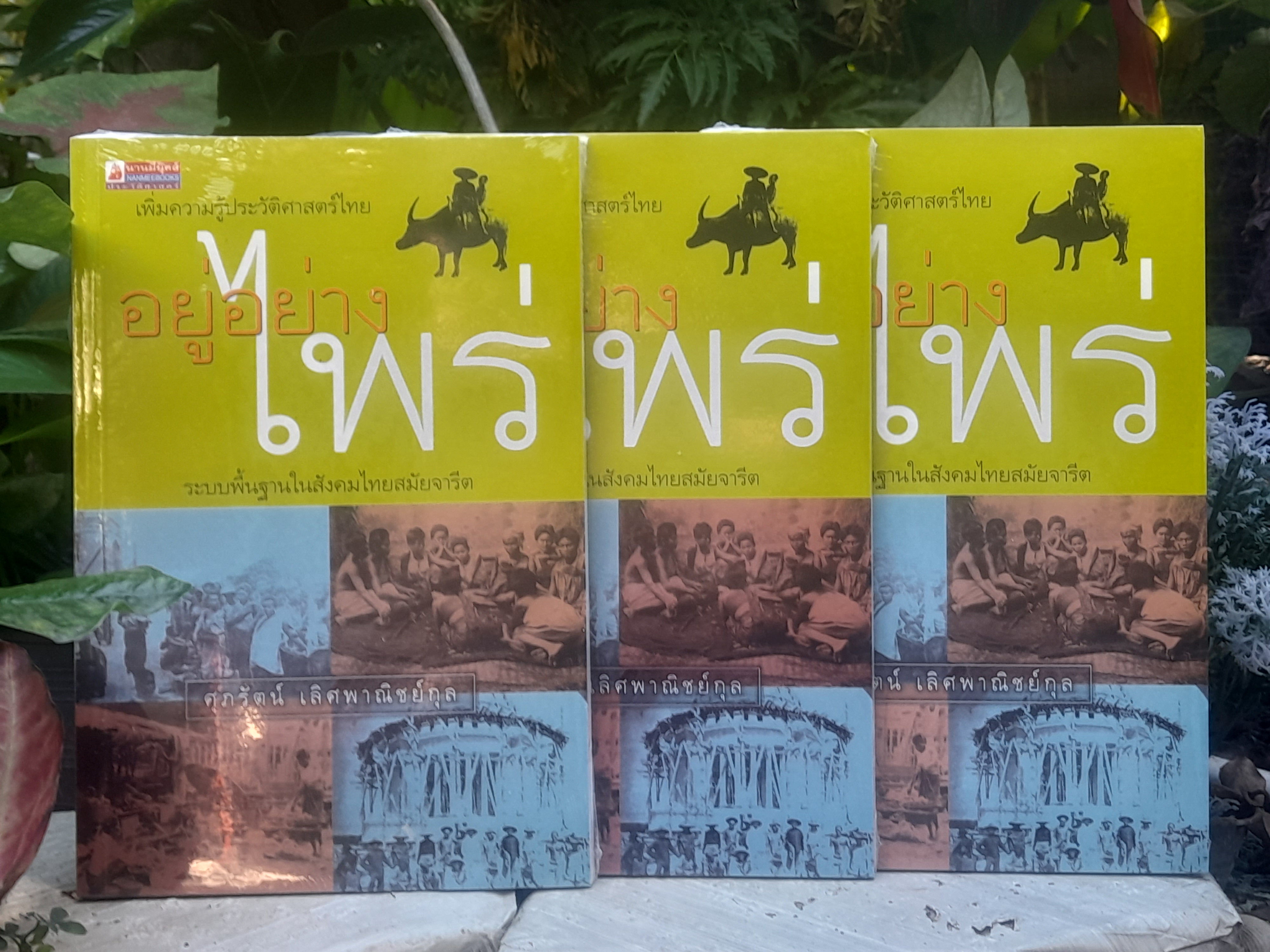 เพิ่มความรู้ประวัติศาสตร์ไทย อยู่อย่างไพร่ ระบบพื้นฐานในสังคมไทยสมัยจารีต โดย ศุภรัตน์ เลิศพาณิชย์กุล หนังสือมือหนึ่งในซีล