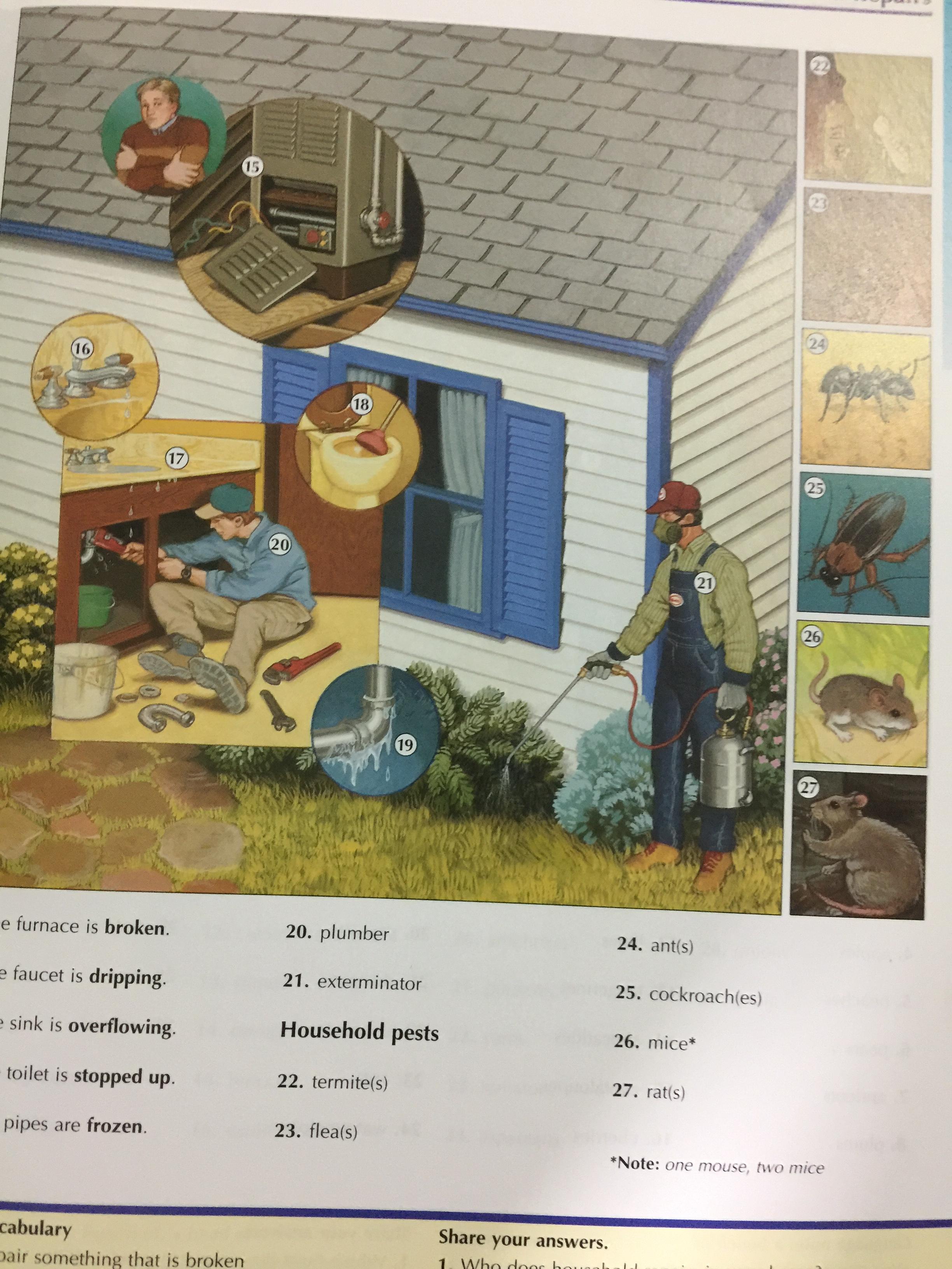 THE OXFORD. Picture Dictionary 0 กก.