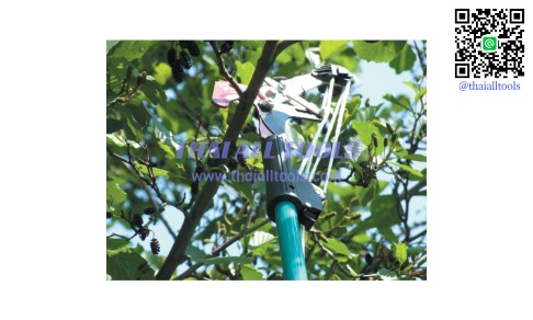 เลื่อยตัดกิ่งไม้ RATCHET TREE LOPPER & TELESCOPIC POLE SAW RUTLAND