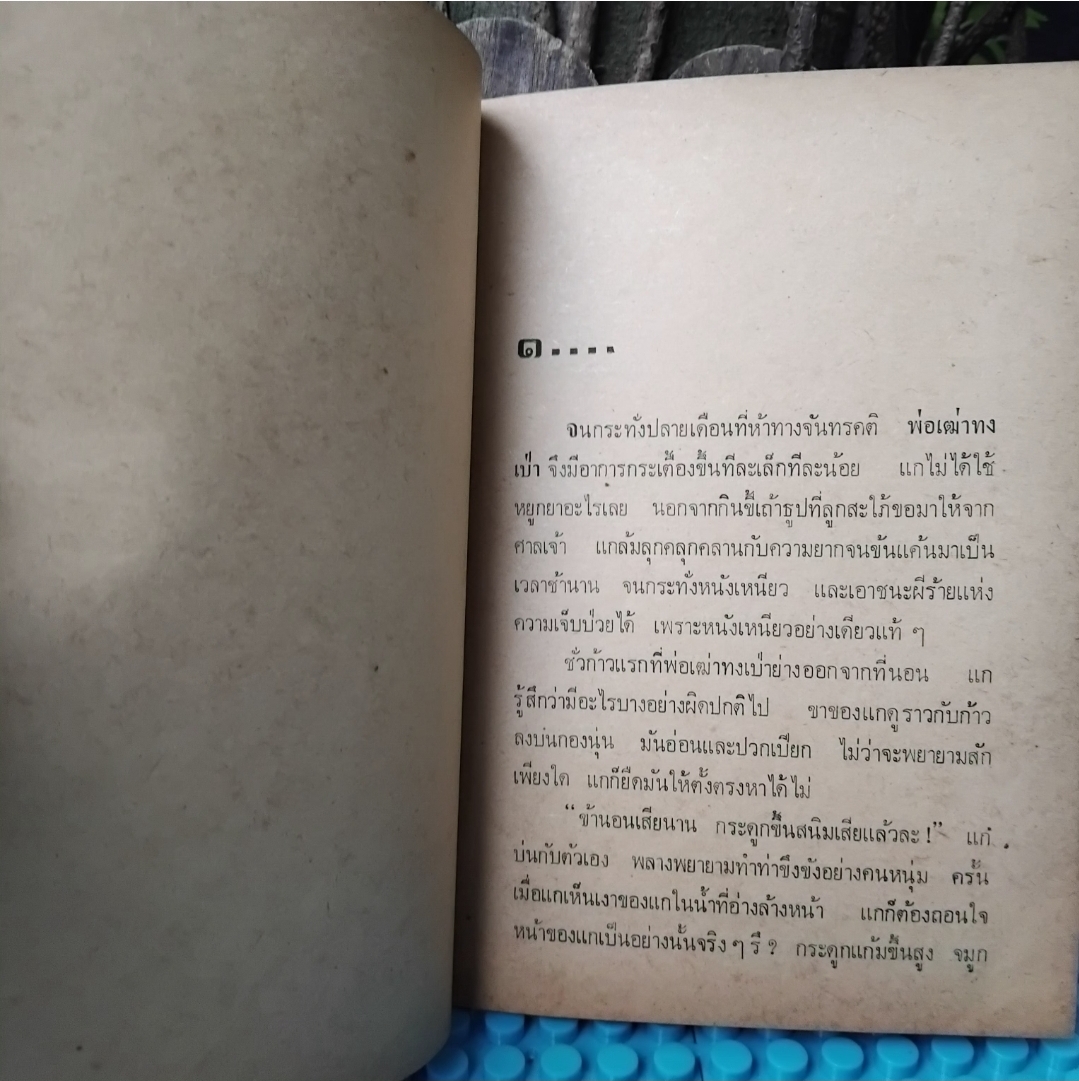 นาข้าวในฤดูชิวเทียน AUTUMN HARVEST โดย เหมาตุ่น แปล จูเลียต(ชนิด สายประดิษฐ์) สภาพเทียบมือ1