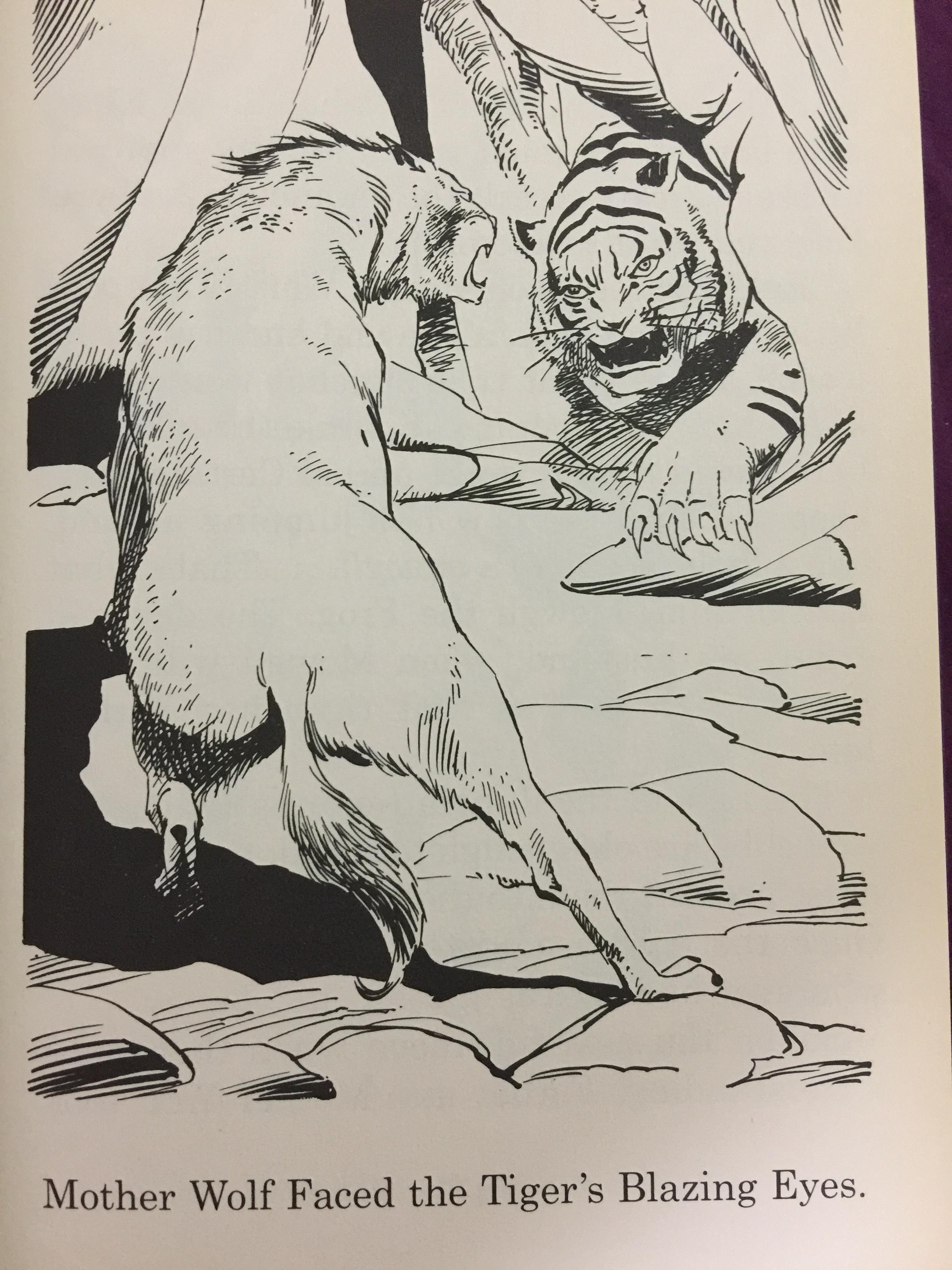 THE JUNGLE BOOK. Great Illustrated Classics. ผู้เขียน Rudyard Kipling 0 กก.