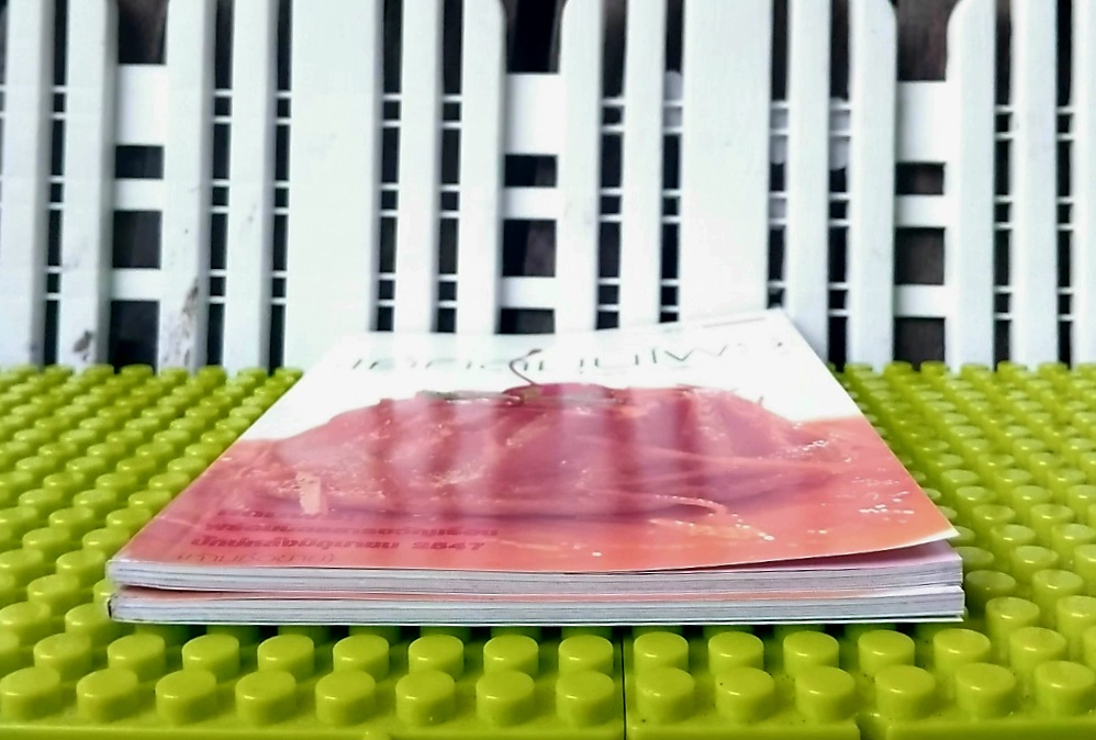 เค้กสมุนไพร โดย อ.นวรัตน์ เอี่ยมพิทักษ์กิจ จัดทำโดย ขวัญเรือนฉบับพิเศษ มือ1 ภาพสี