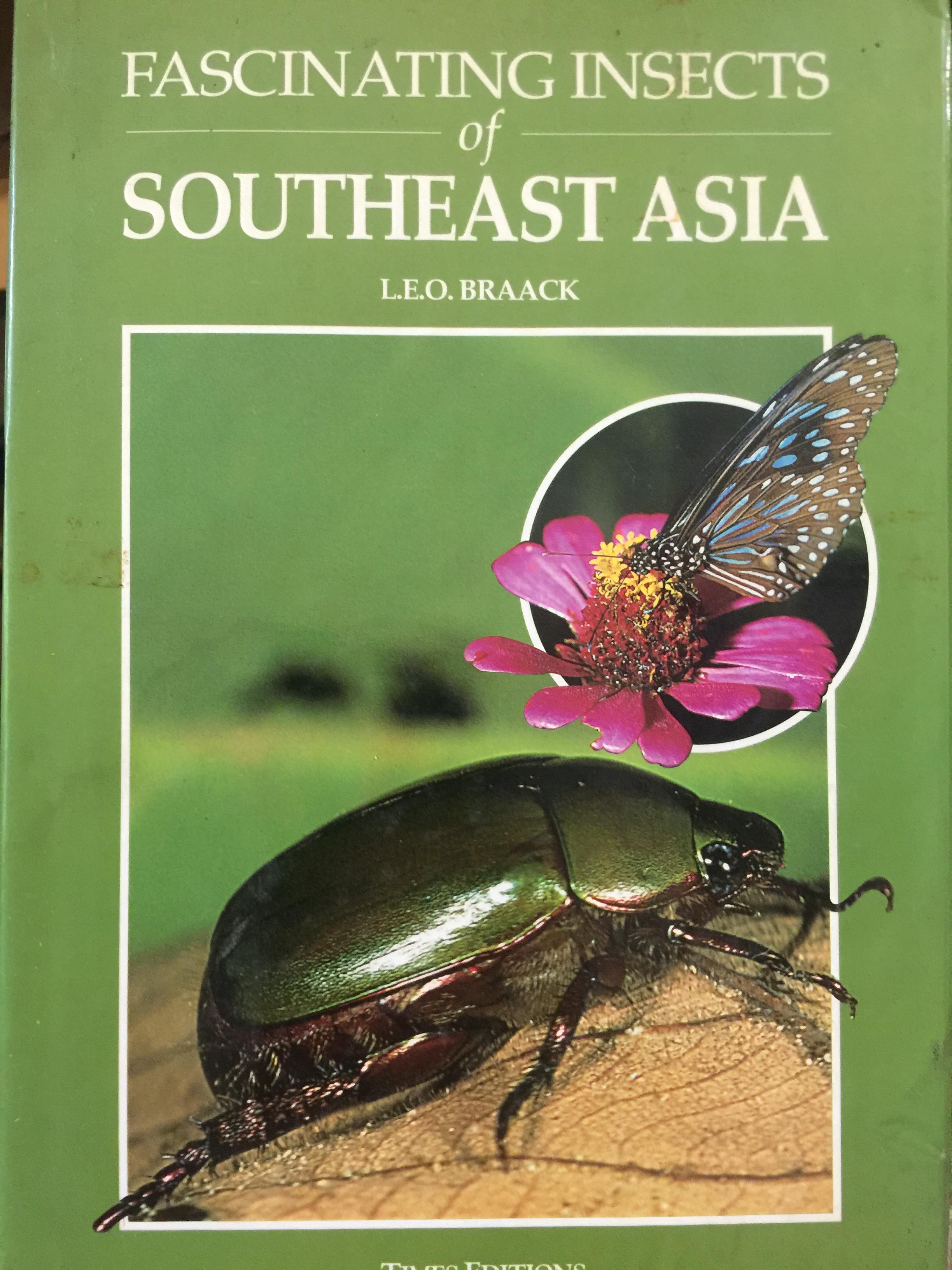 FASCINATING INSECTS of SOUTHEAST ASIA. ผู้เขียน. L.E.O. BRAACK 0 กก.