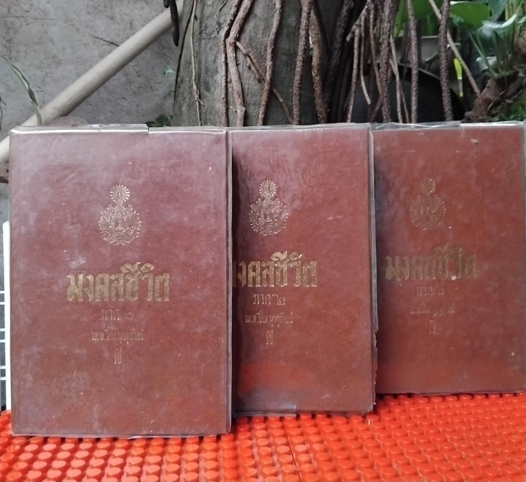 มงคลชีวิต ของ พ.อ.ปิ่น มุทุกันต์ หนังสือชุด 3 เล่ม สรุปหลักมงคล 38 ประการ เป็นแนวทางในการดำเนินชีวิตที่ดี