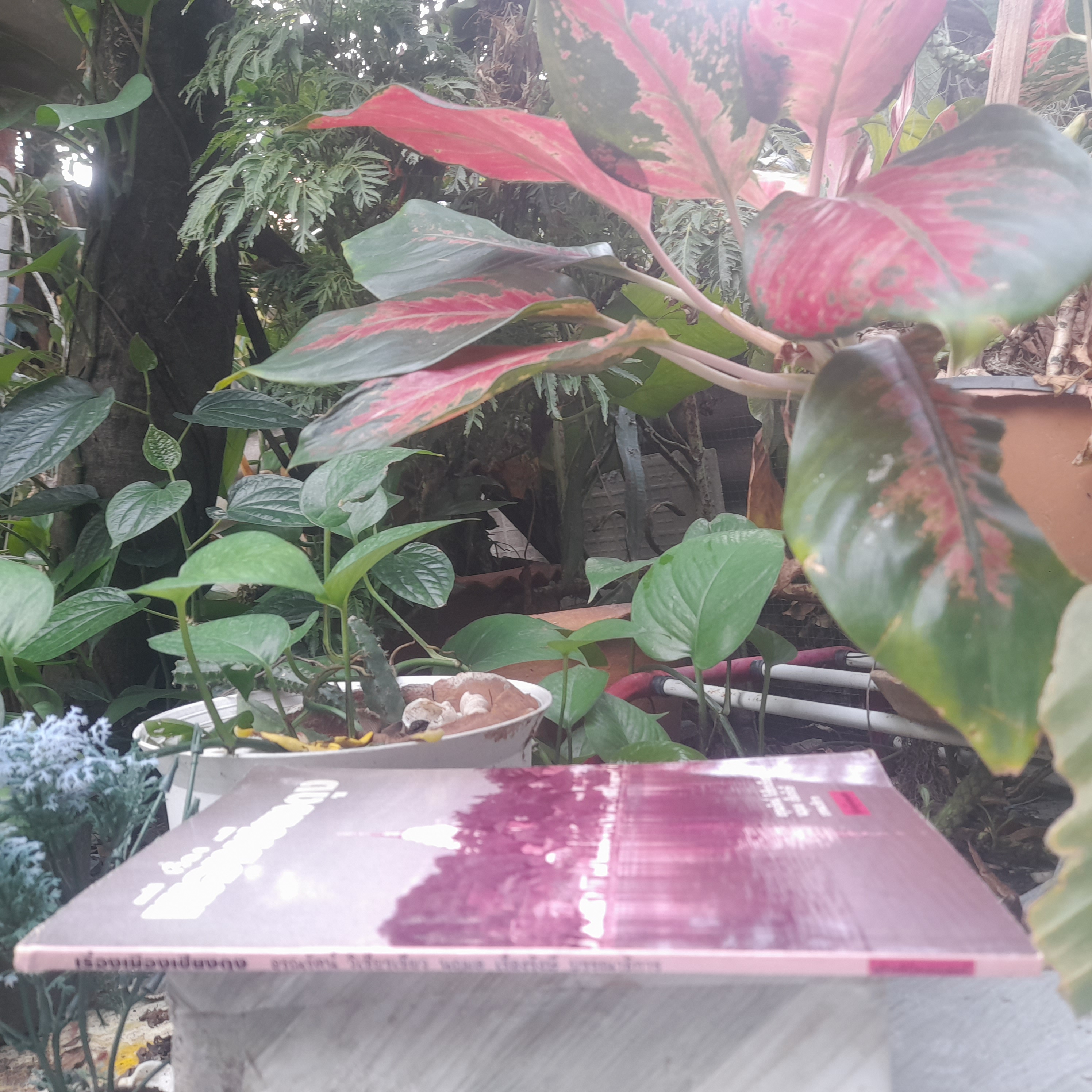 เรื่องเมืองเชียงตุง โดย อรุณรัตน์ วิเชียรเขียว ความเป็นอยู่ ประเพณี ประวัติศาสตร์ หนังสือมือหนึ่งครับ