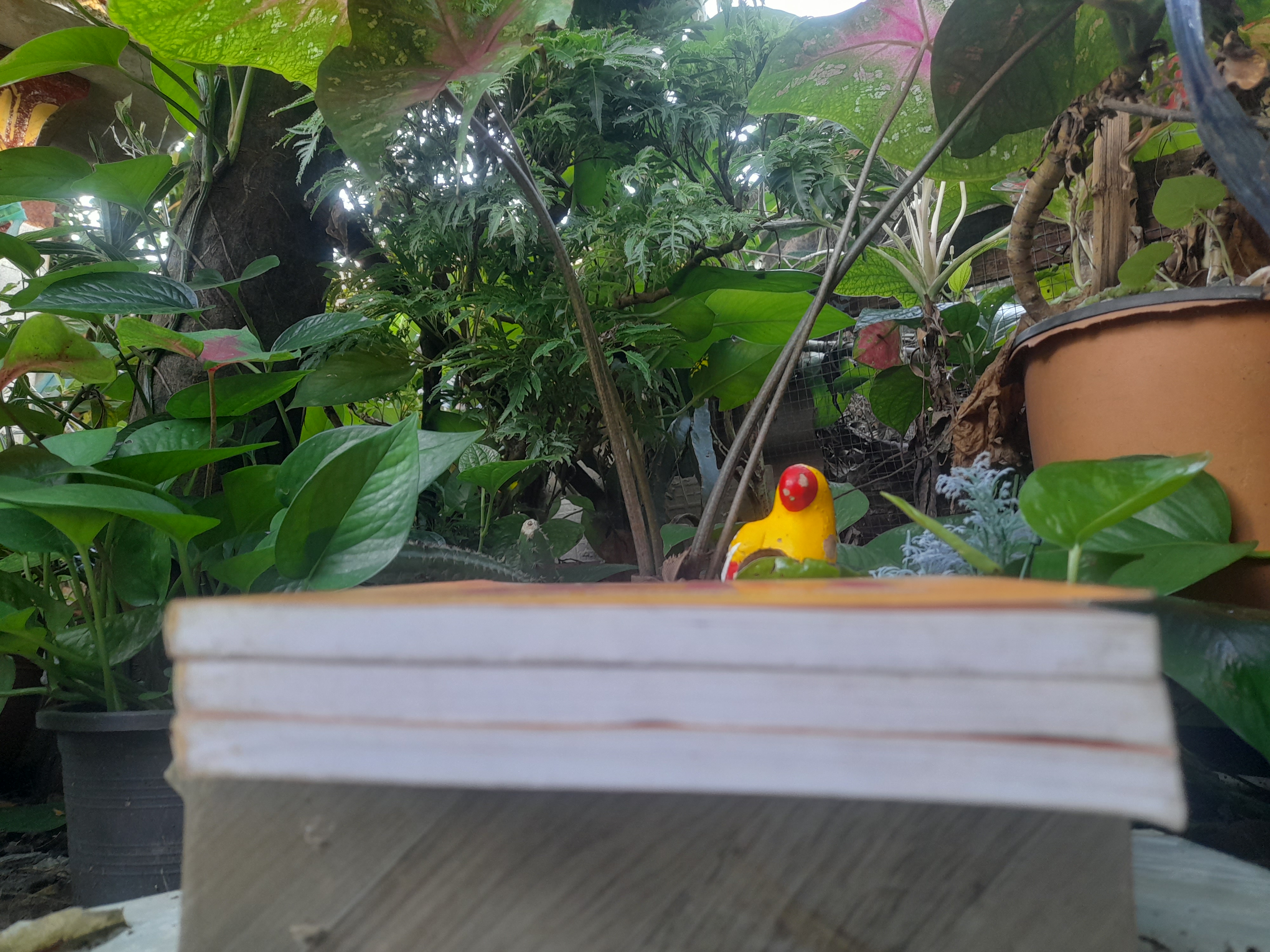 สำรวมจิต กำหนดชีวิต การควบคุมสู่ชัยชนะทางอารมณ์โดยใช้หลักศาสนาและจิตวิทยา โดย ดร.ครองขวัญ ไชยธรรมสถิต หนังสือมือหนึ่ง หายาก