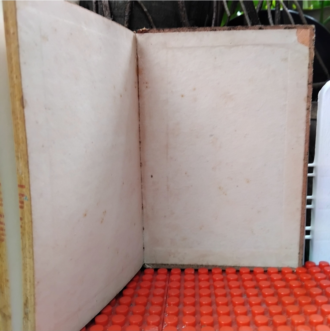 ประเพณีไทยภาคเหนือ โดย สงวน โชติสุขรัตน์ รวมเรื่องประเพณีต่างๆของภาคเหนือไว้อย่างละเอียดถูกต้อง