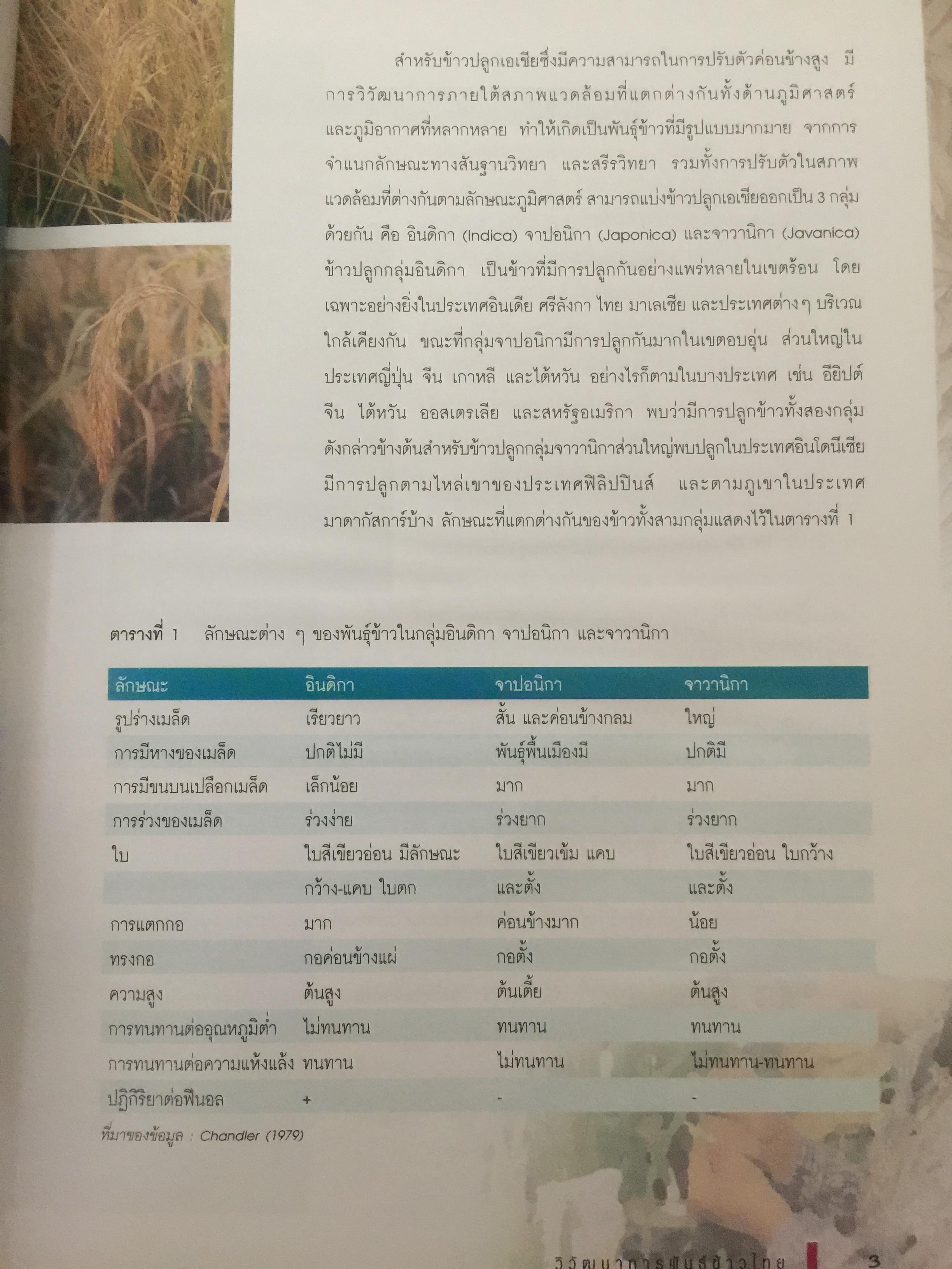 วิวัฒนาการพันธุ์ข้าวไทย. สถาบันวิจัยข้าวไทย กรมวิชาการเกษตร 0 กก.