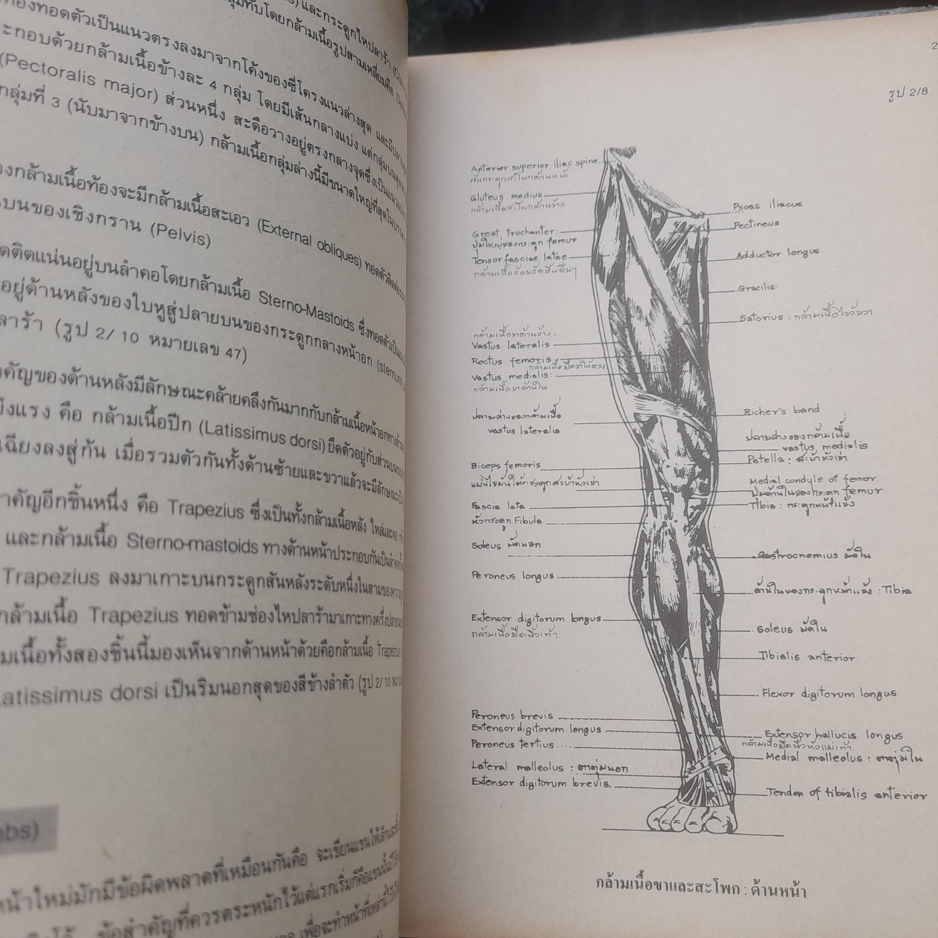 ตำราการเขียนภาพ โดย นิวิต หะนนท์ หนังสือมือหนึ่ง สภาพอ่าน