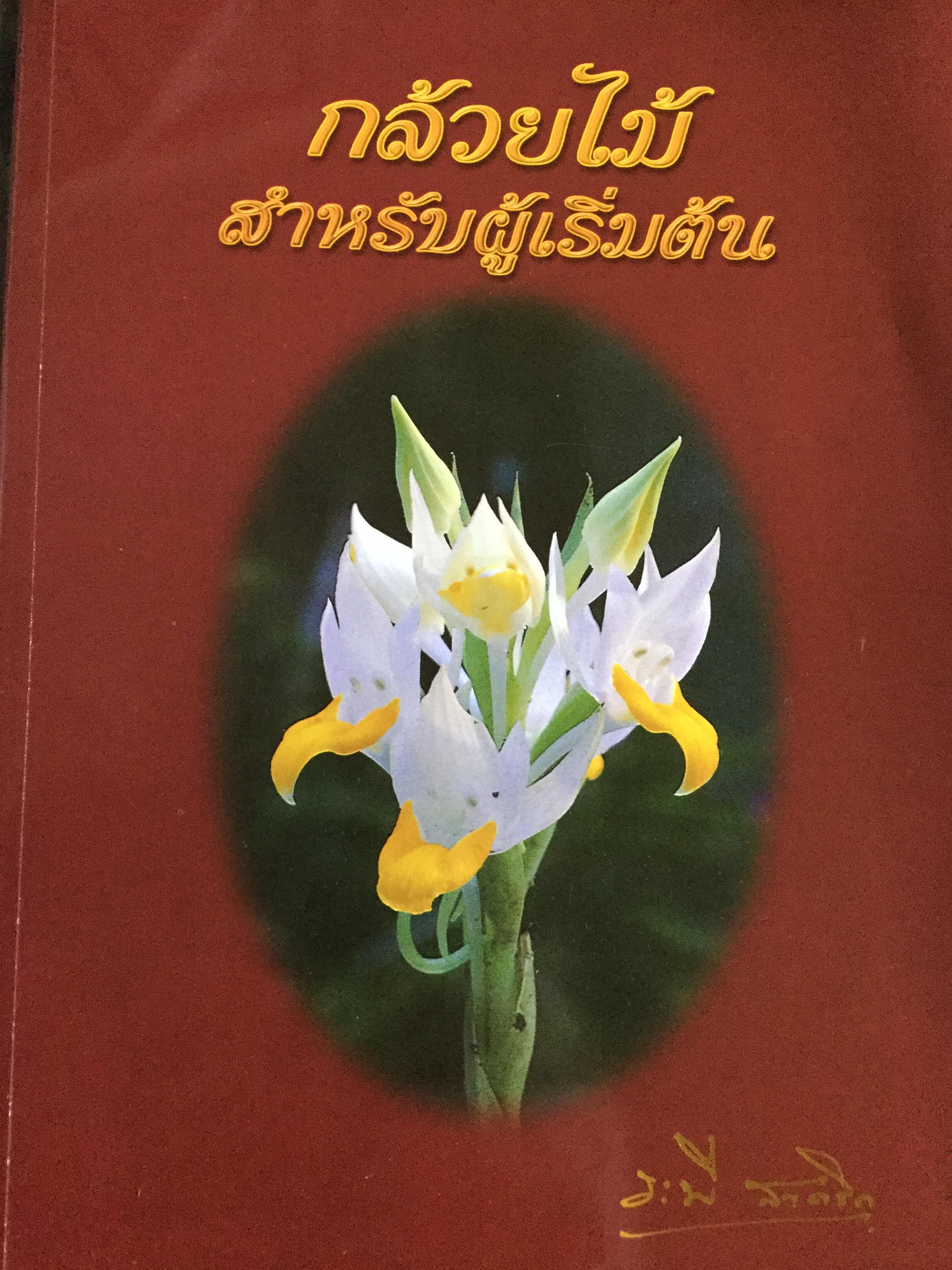 กล้วยไม้ สำหรับผู้เริ่มต้น ผู้เขียน ระพี สาคริก 2,300 กรัม