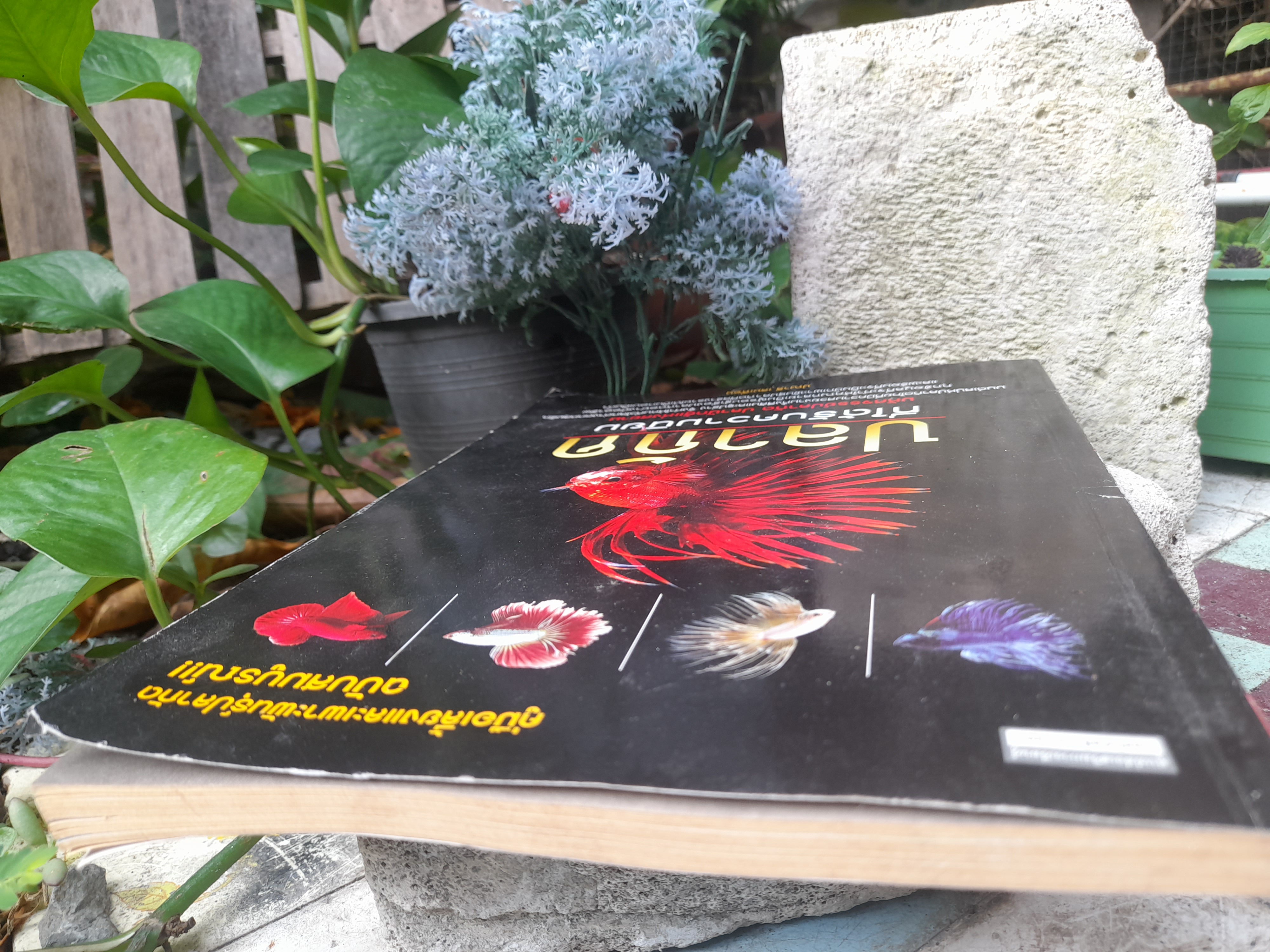 หนังสือคู่มือเลี้ยงและเพาะพันธุ์ปลากัด ฉบับสมบูรณ์และละเอียดแบบมืออาชีพครับ