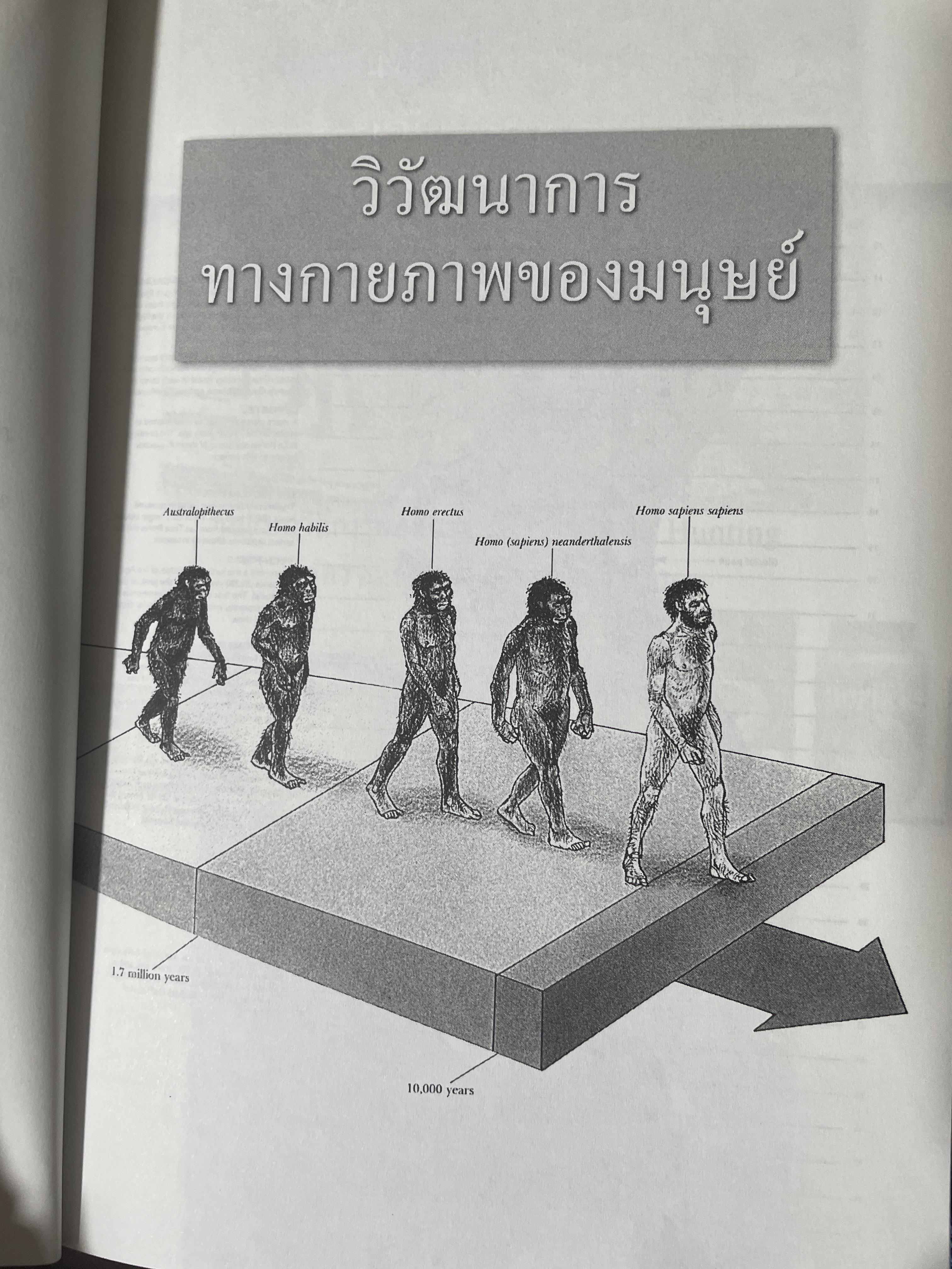 ความหลากหลายของชีวิต ความหลากหลายทางวัฒนธรรม 2,500 กรัม