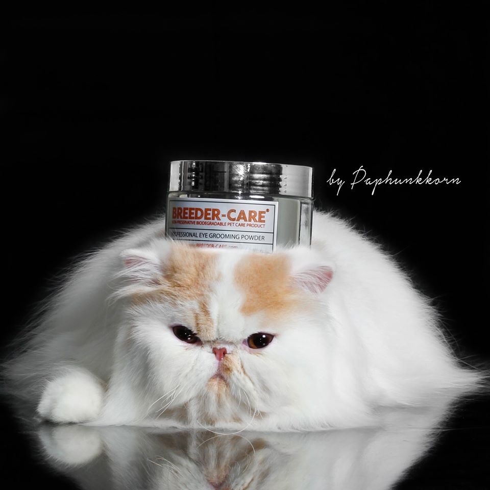 RUB & PUFF (PRO-SET)