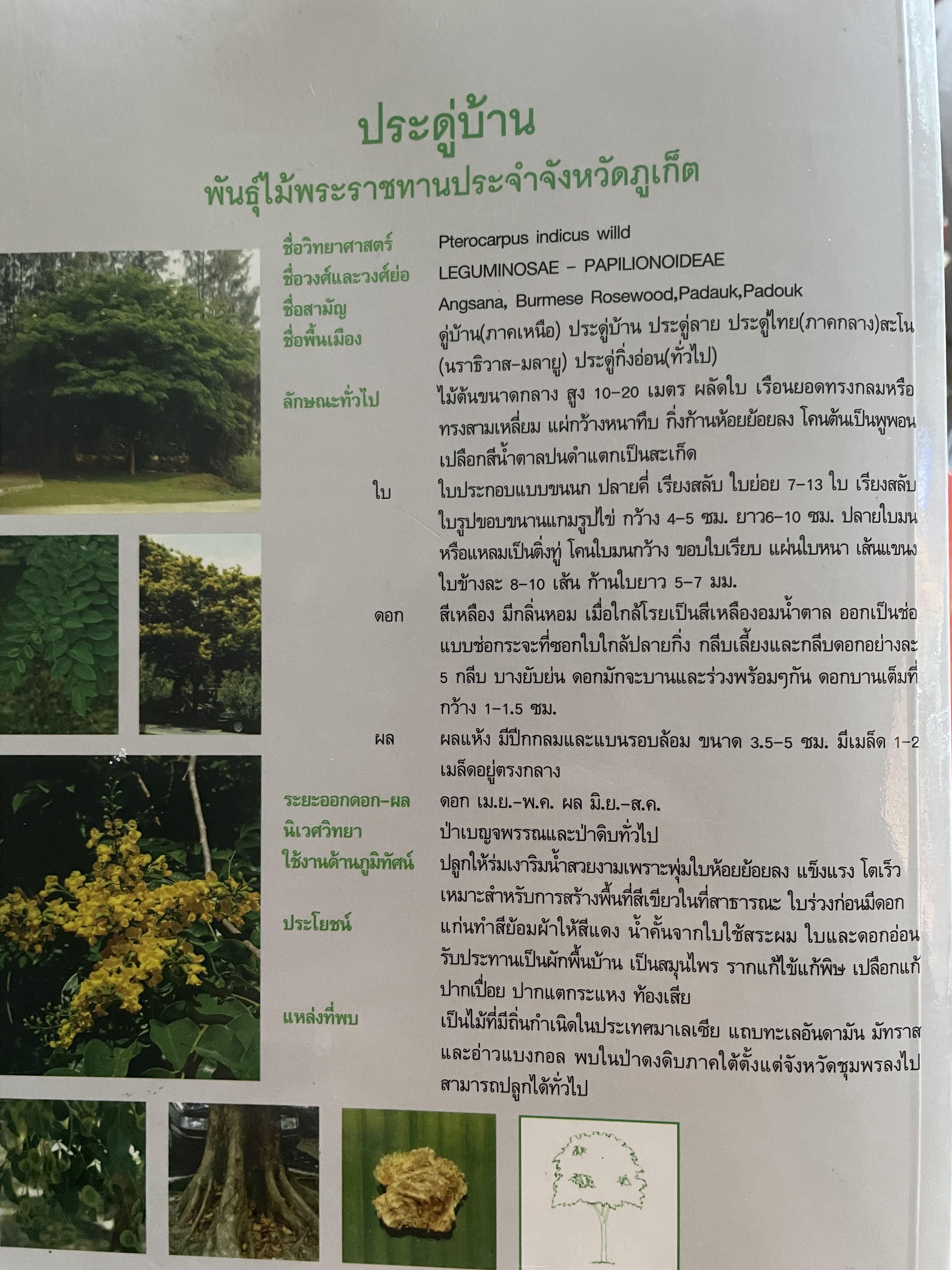 ภูเก็ต ผู้เขียน ฤดี ภูมิภูถาวร โครงการตำราและสื่อโรงเรียนสตรีภุเก็ค 1,800 กรัม