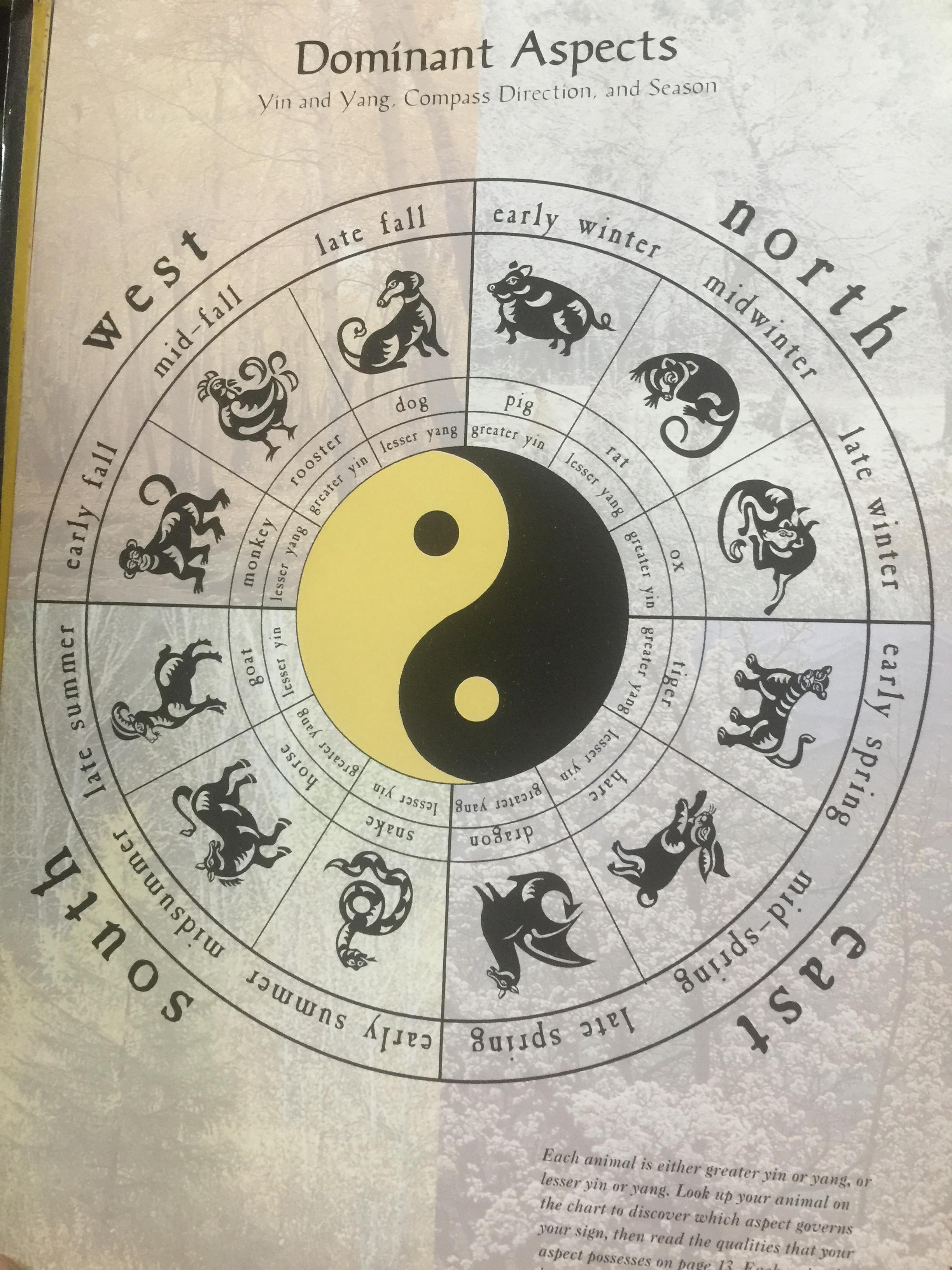 CHINESE ASTROLOGY ผู้เขียน RICHARD CRAZE 0 กก.