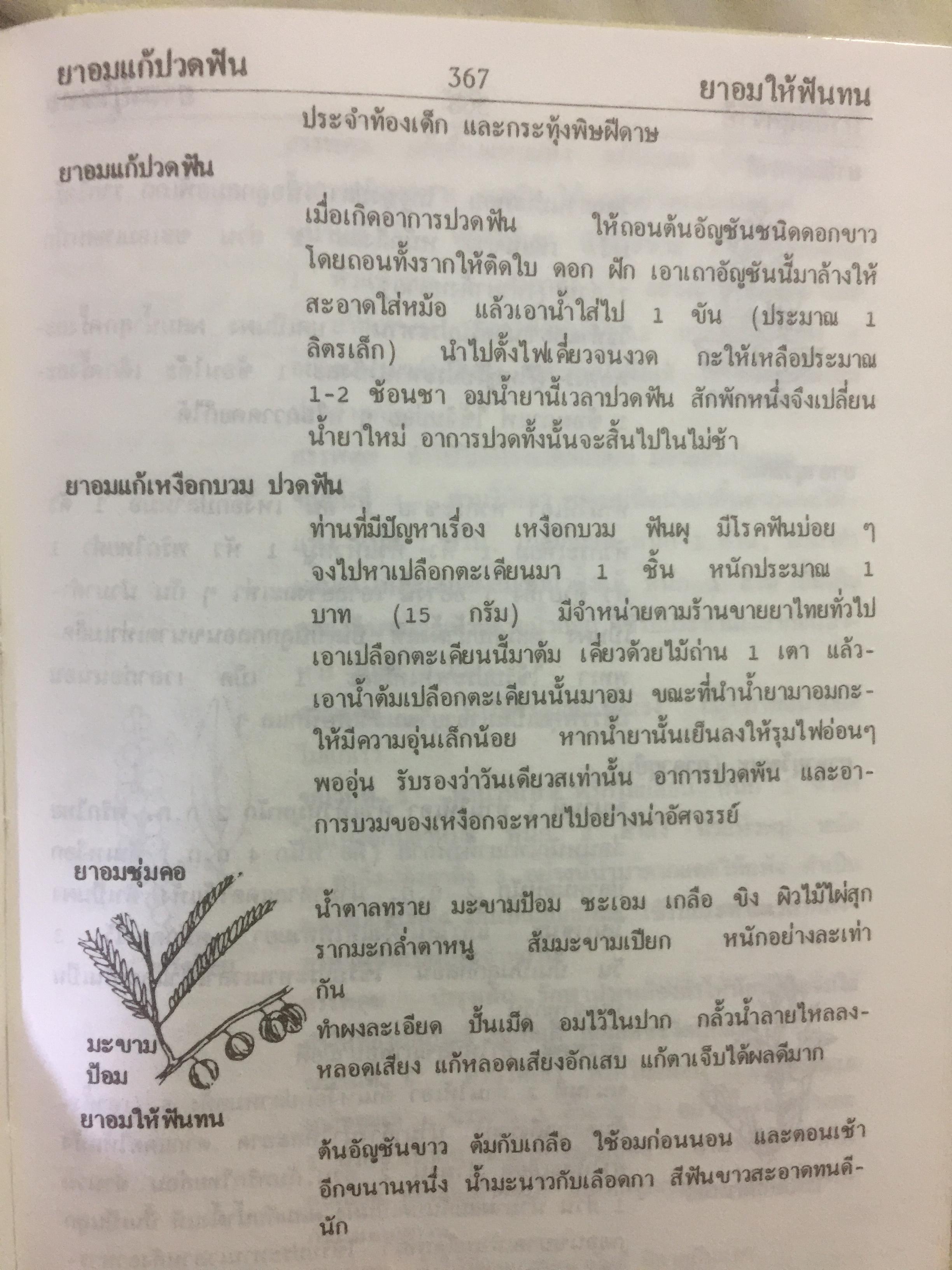 พจนานุกรม สมุนไพรไทย.(ฉบับสรรพคุณยาไทย) โดย ดร.วิทย์ เที่ยงบูรณธรรม 0 กก.