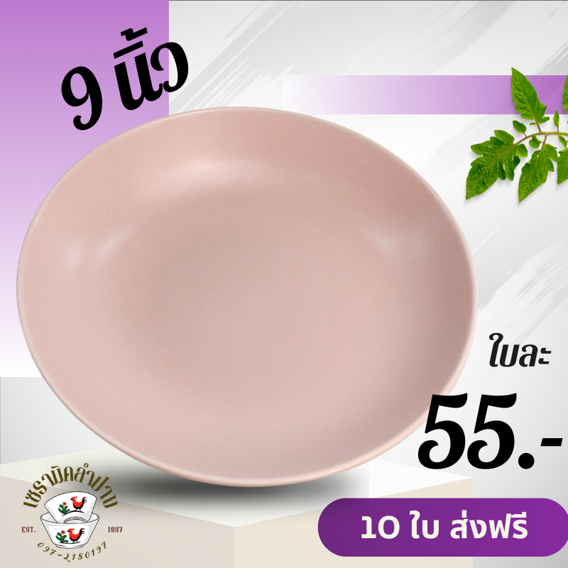 จานเซรามิค 8 นิ้ว 10 ใบ ส่งฟรี ถ้วยจานชาม เซรามิค จากลำปาง ถ้วยจานสไตล์มินิมอล