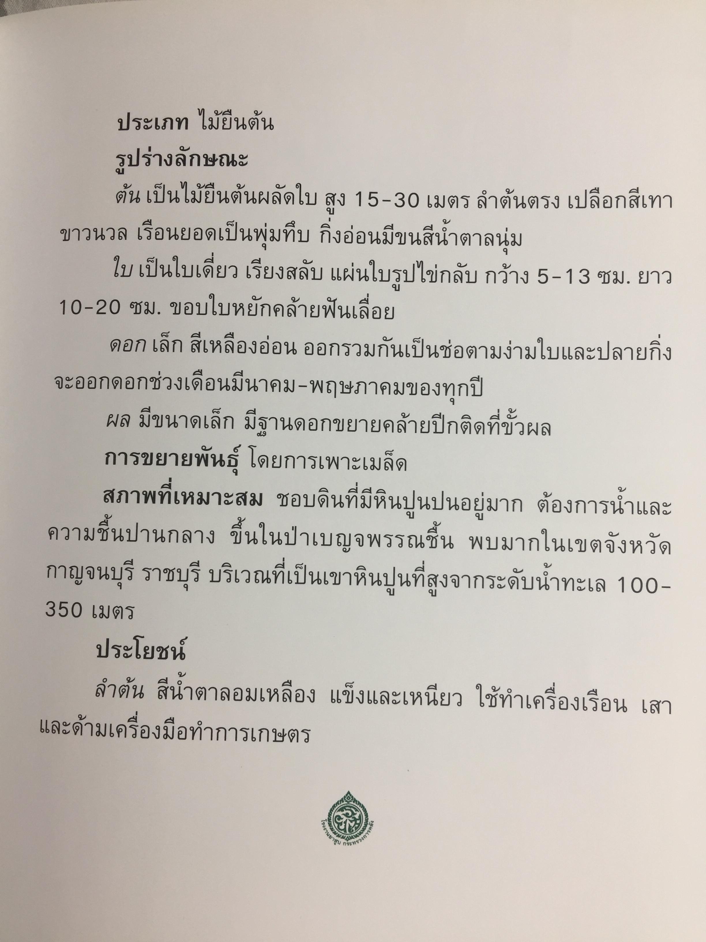 ยาสูบไทย หัวใจสีเขียว. พรรณไม้มงคลประจำจังหวัด สวนป่าเบญจกิติ 0 กก.