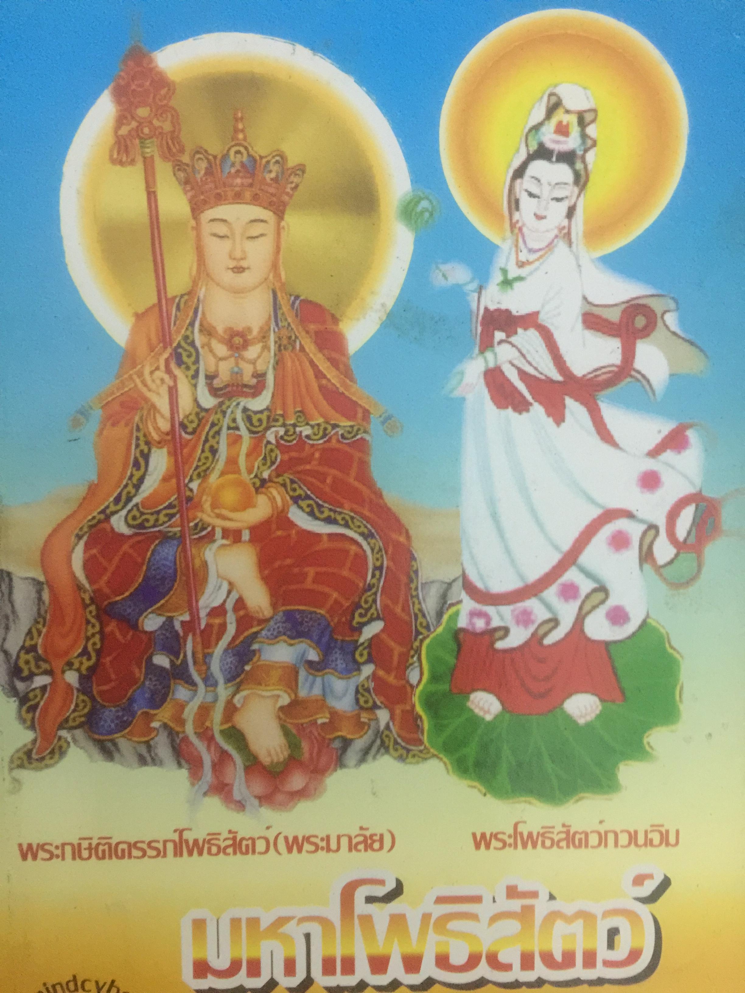 มหาโพธิสัตว์. ศรัทธา ปณิธาน มรรคผล. รวบรวมพระประวัติของพระโพธิสัตว์ทั้งสี่พระองค์ เพื่อศึกษาจะช่วยเพิ่มพลังแห่งศรัทธา 0 กก.