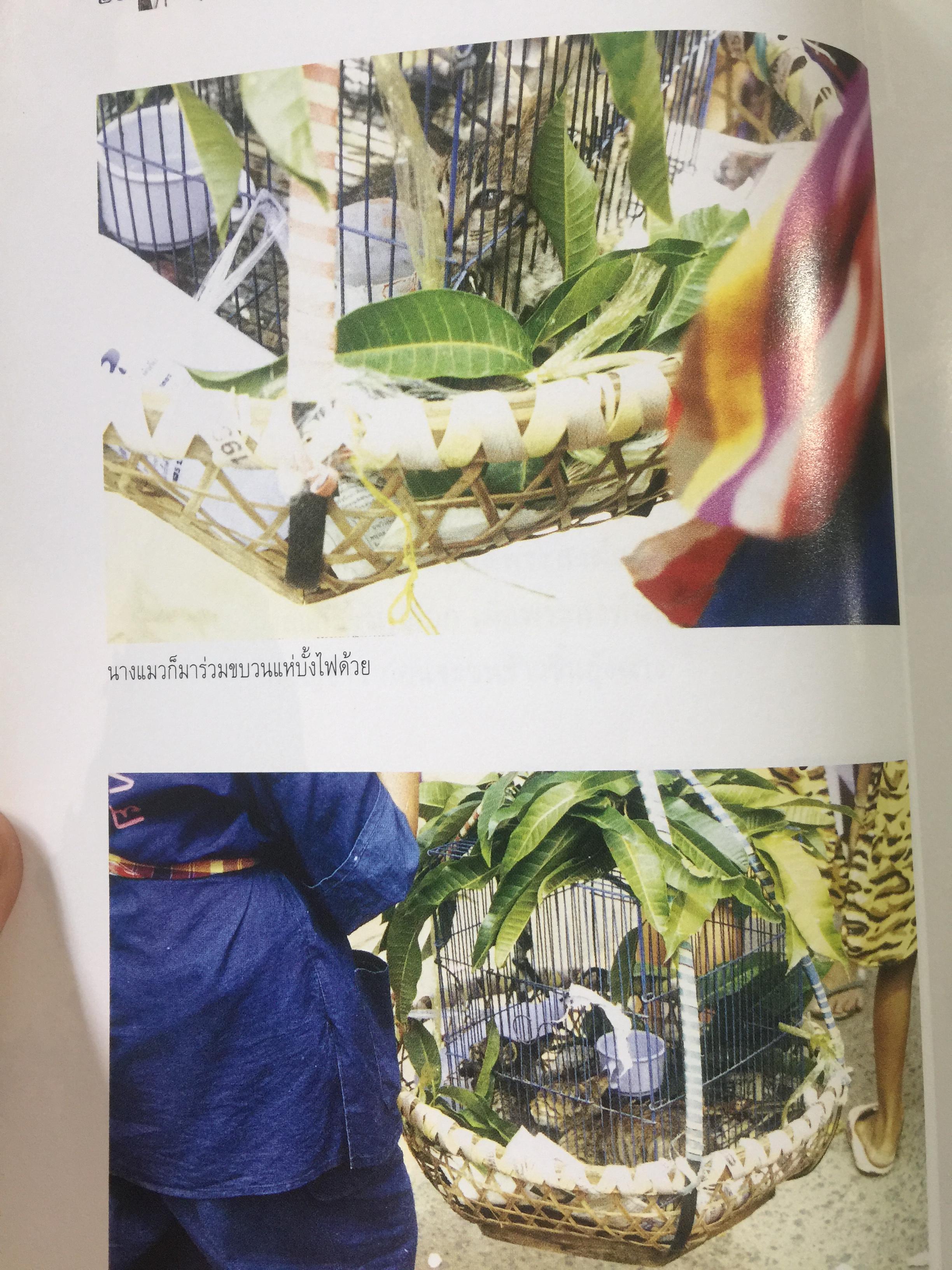 บุญบั้งไฟยโสธร. ประเพณีขอฝนที่ยิ่งใหญ่ที่สุดในภาคอีสาน 0 กก.