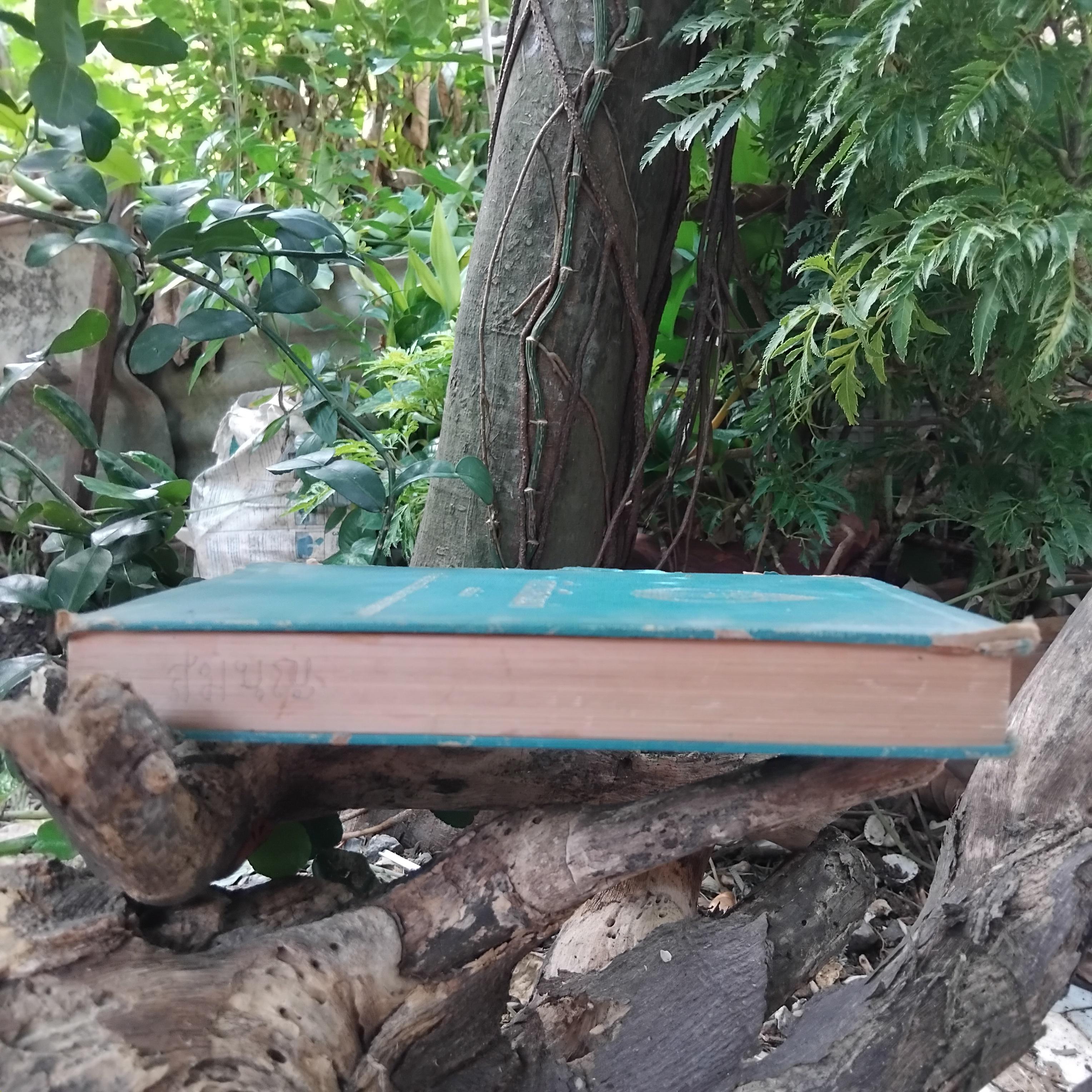 เที่ยวเมืองพม่า พระนิพนธ์ สมเด็จพระเจ้าบรมวงศ์เธอ กรมพระยาดำรงราชานุภาพ มีภาพประกอบ