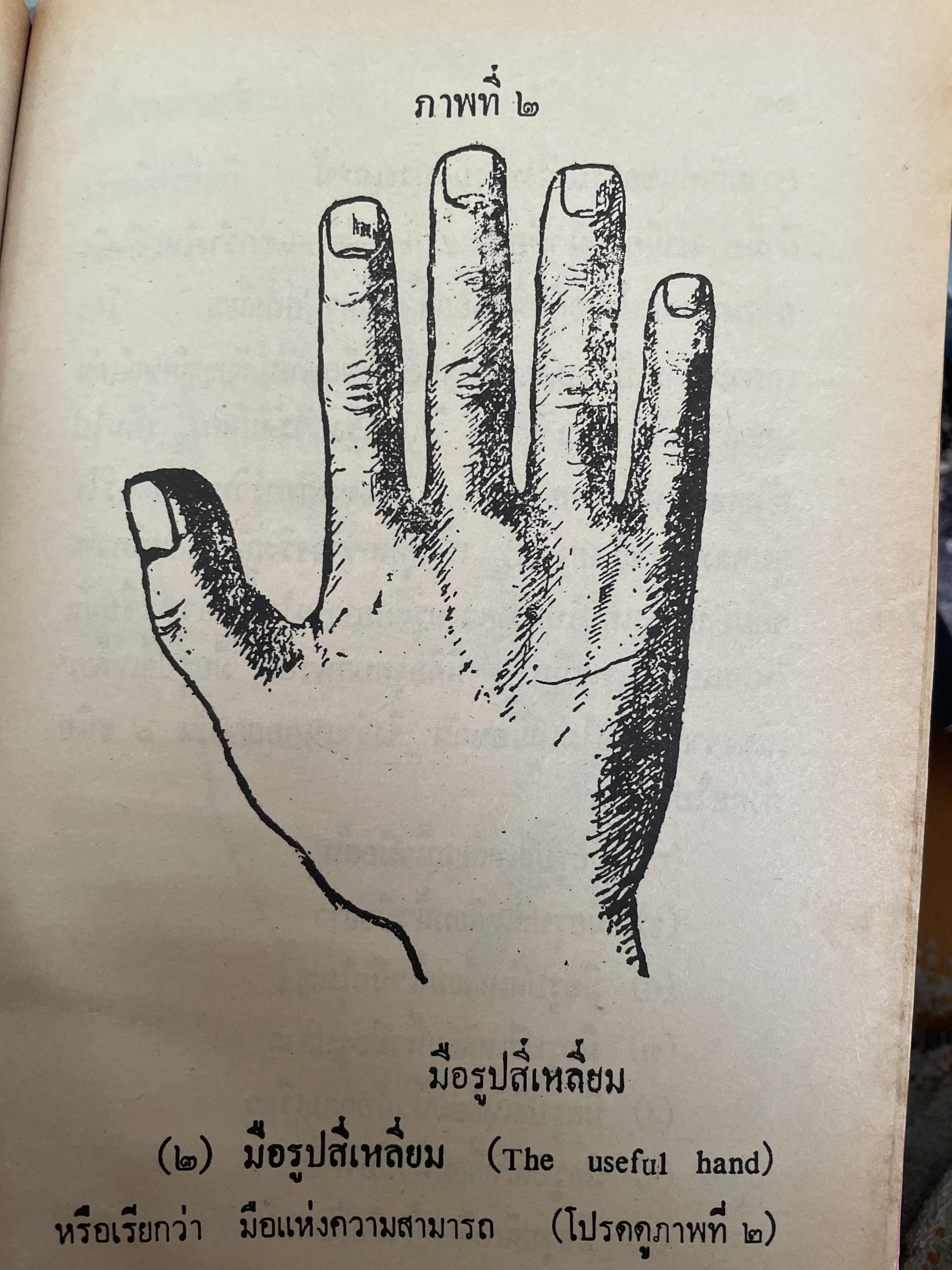 ตำราดูลักษณะลายมือ ผู้เชียน จำลอง พิศนาคะ 800 กรัม