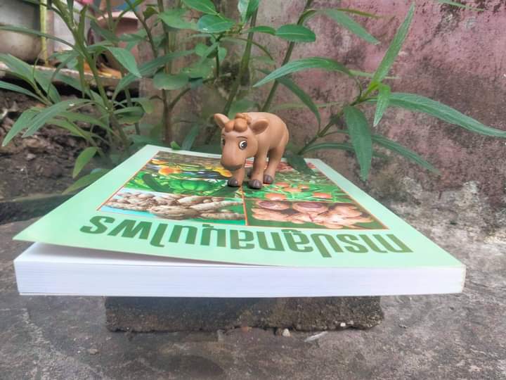 การปลูกสมุนไพร หนังสือสอนปลูกสมุนไพรแบบสมบูรณ์