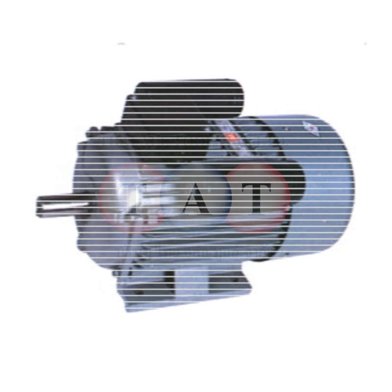 มอเตอร์จีนรุ่นรอบเร็ว 220V 6300515