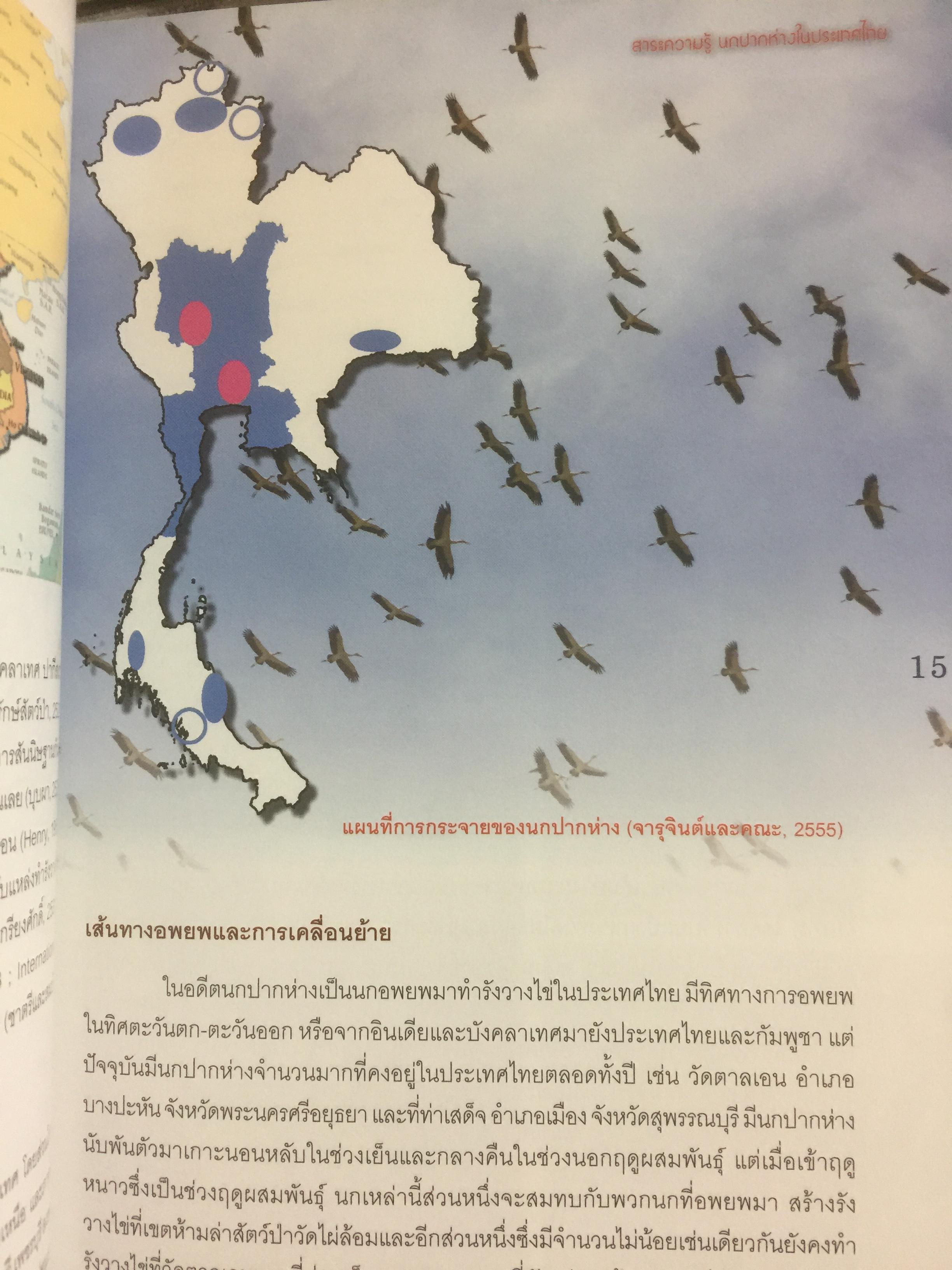สาระความรู้ นกปากห่าง ในประเทศไทย. ผู้เขียน ไกรรัตน์ เอี่ยมอำไพและคณะ 0 กก.