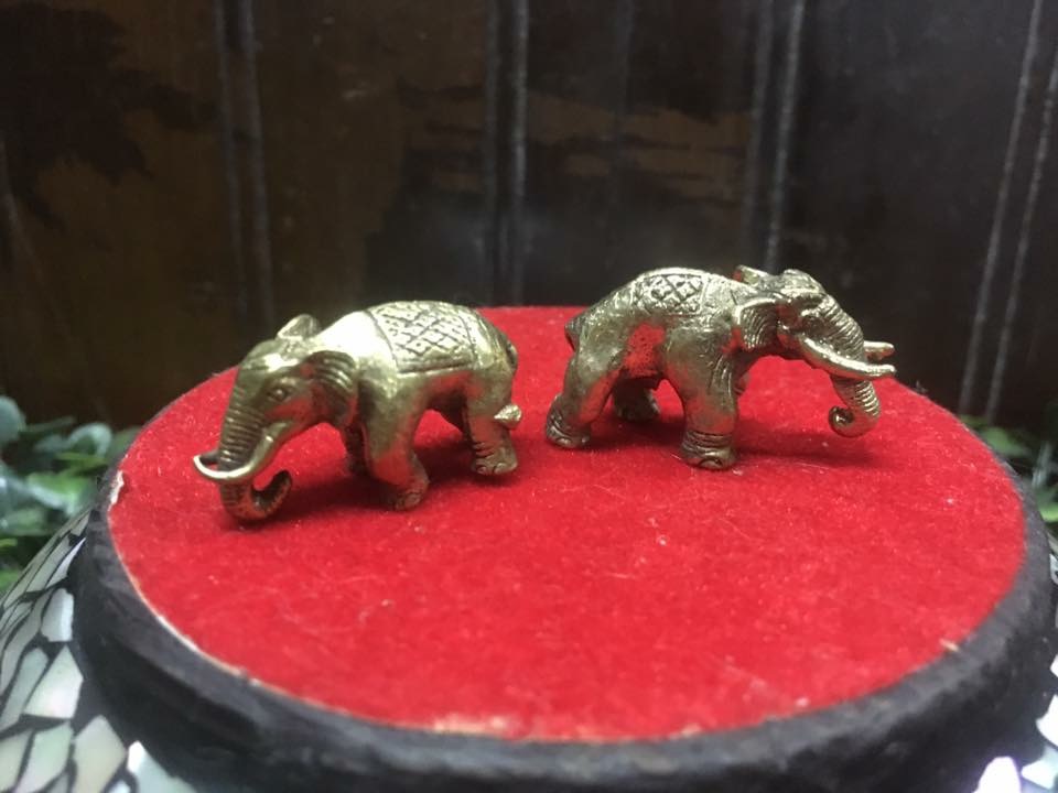 ช้างจิ๋ว เนื้อทองเหลือง งายาว