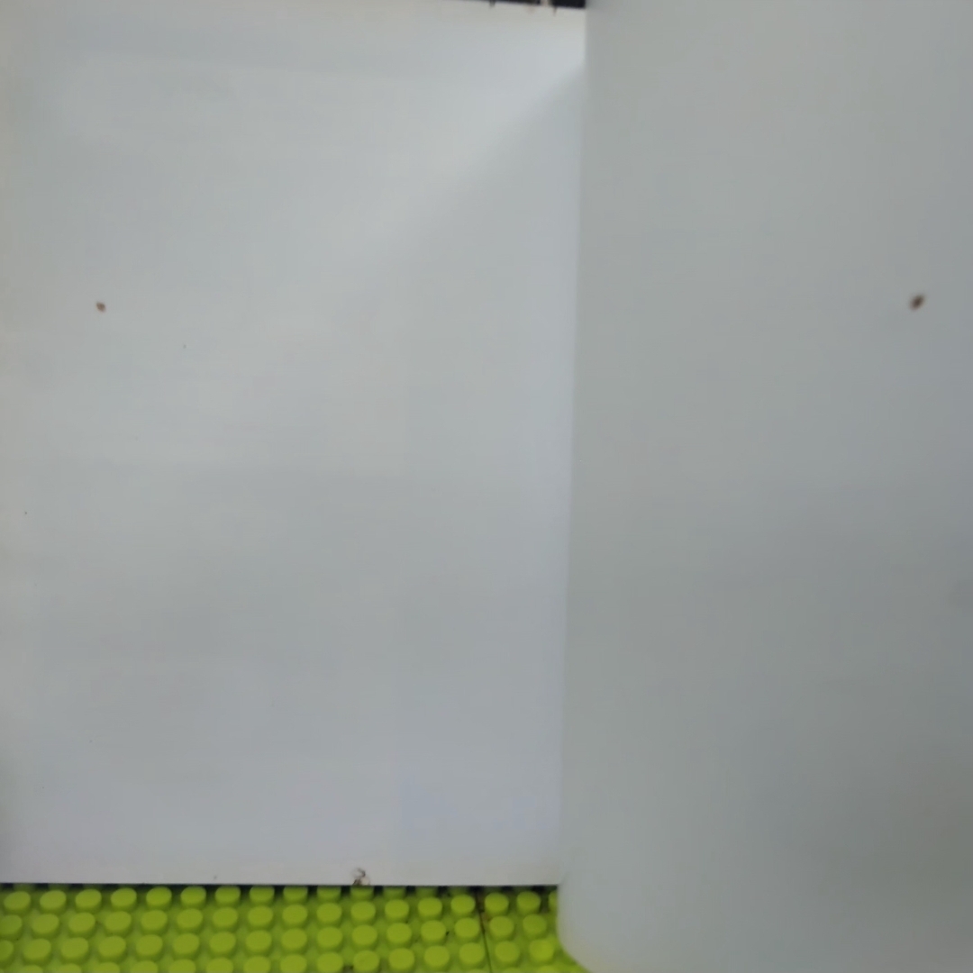 รวมการ์ตูนผู้จัดกวน แหลเพื่อพี่ โดย บัญชา/คามิน มีลายเซ็นผู้เขียน สภาพดี