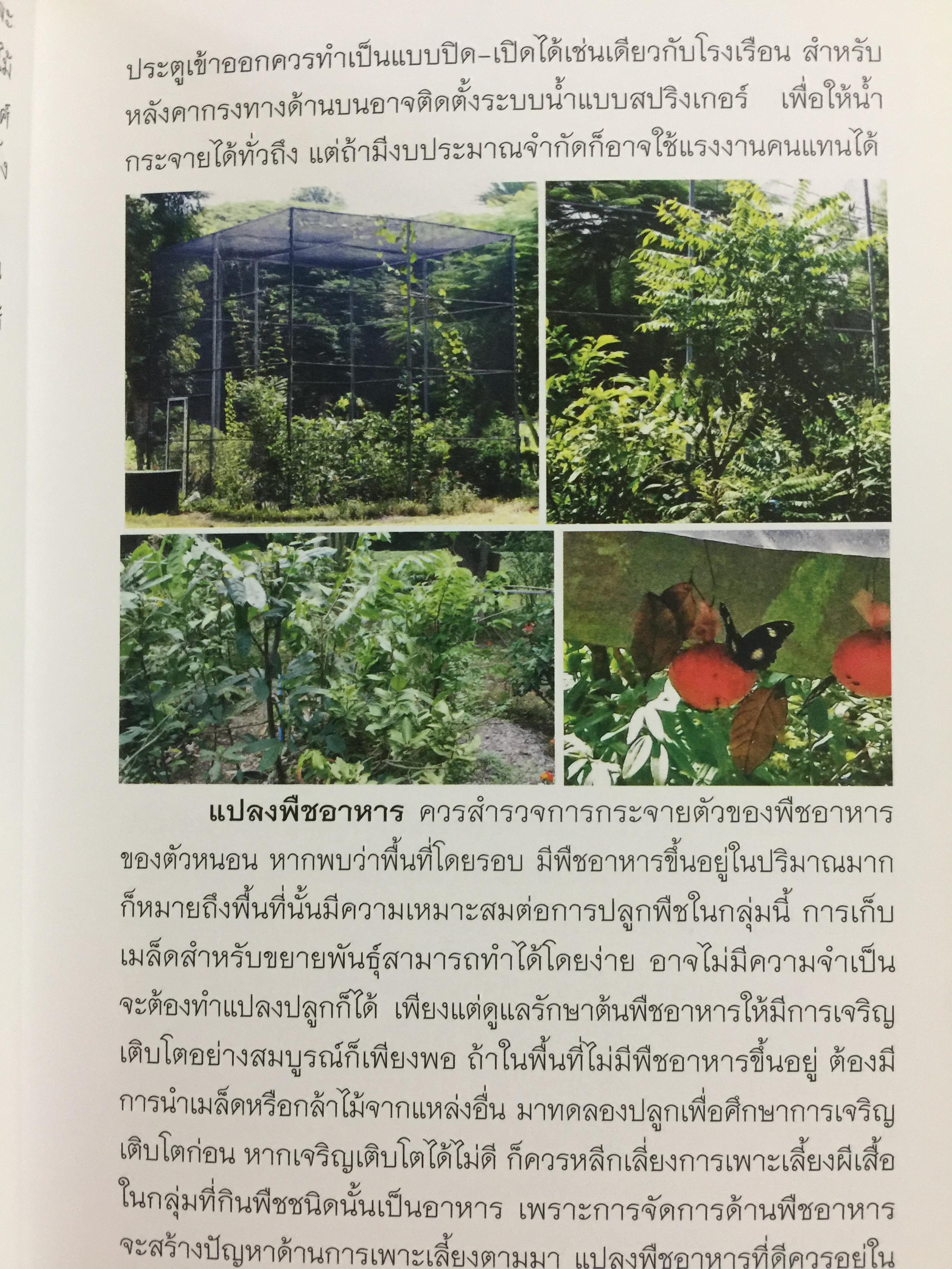 คู่มือการเพาะเลี้ยงผีเสื้อ. จัดทำโดย สำนักวิจัยการอนุรักษ์ป่าไม้และพันธุ์พืช กรมอุทยานแห่งชาติ สัตว์ป่า และพันธุ์พืช 0 กก.