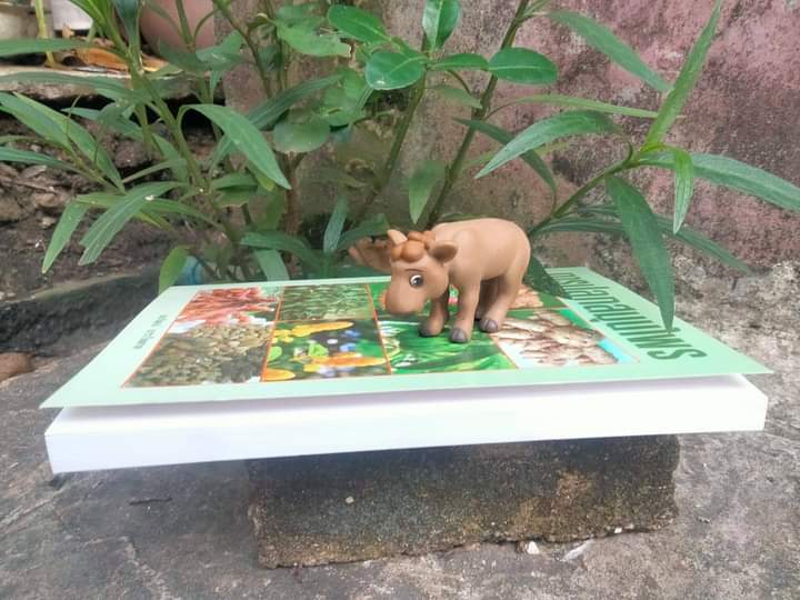 การปลูกสมุนไพร หนังสือสอนปลูกสมุนไพรแบบสมบูรณ์