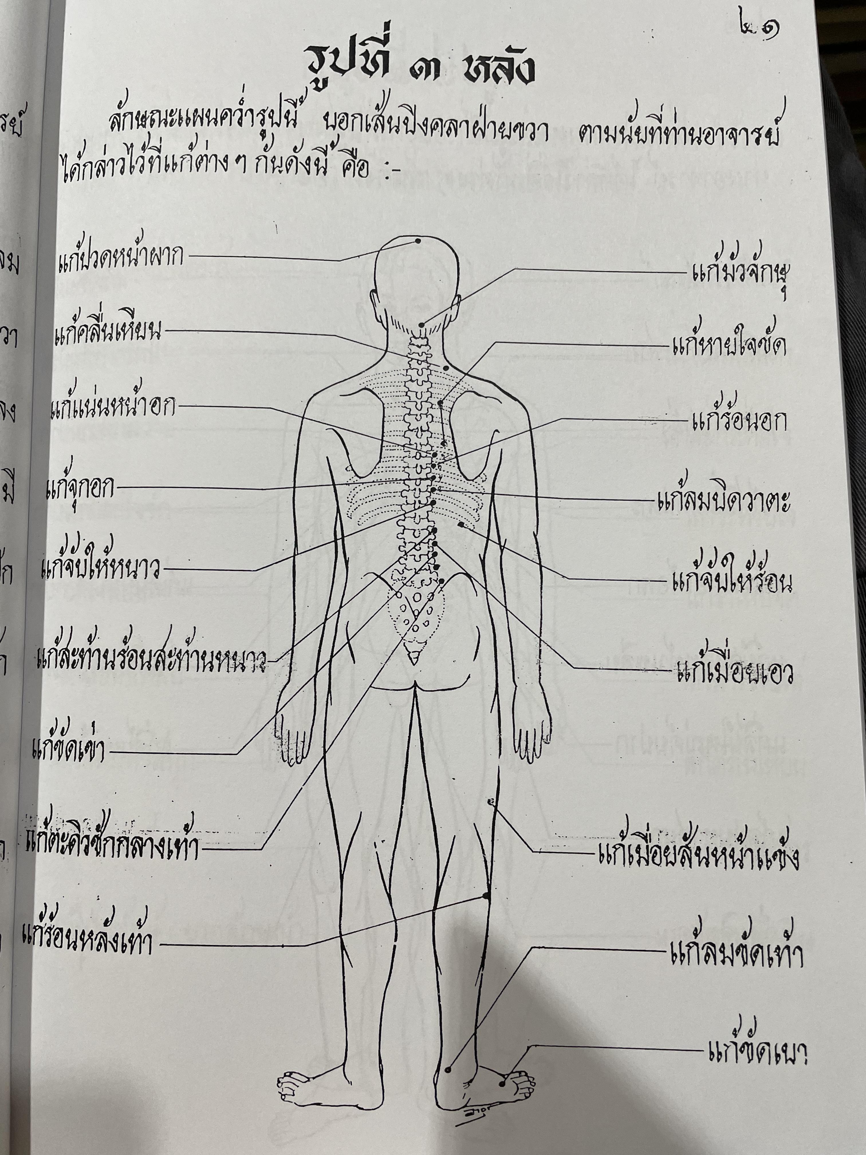 ตำราหมอนวด พระบรมครูชีวกโกมารถัจจฺ ฉบับสมบูรณ์ ภาพประกอบ 66 ภาพ ฤาษีดัดตน 114 ภาพ ดำเนินการโดย หมอ นคร บางยี่ขัน 3 กก.