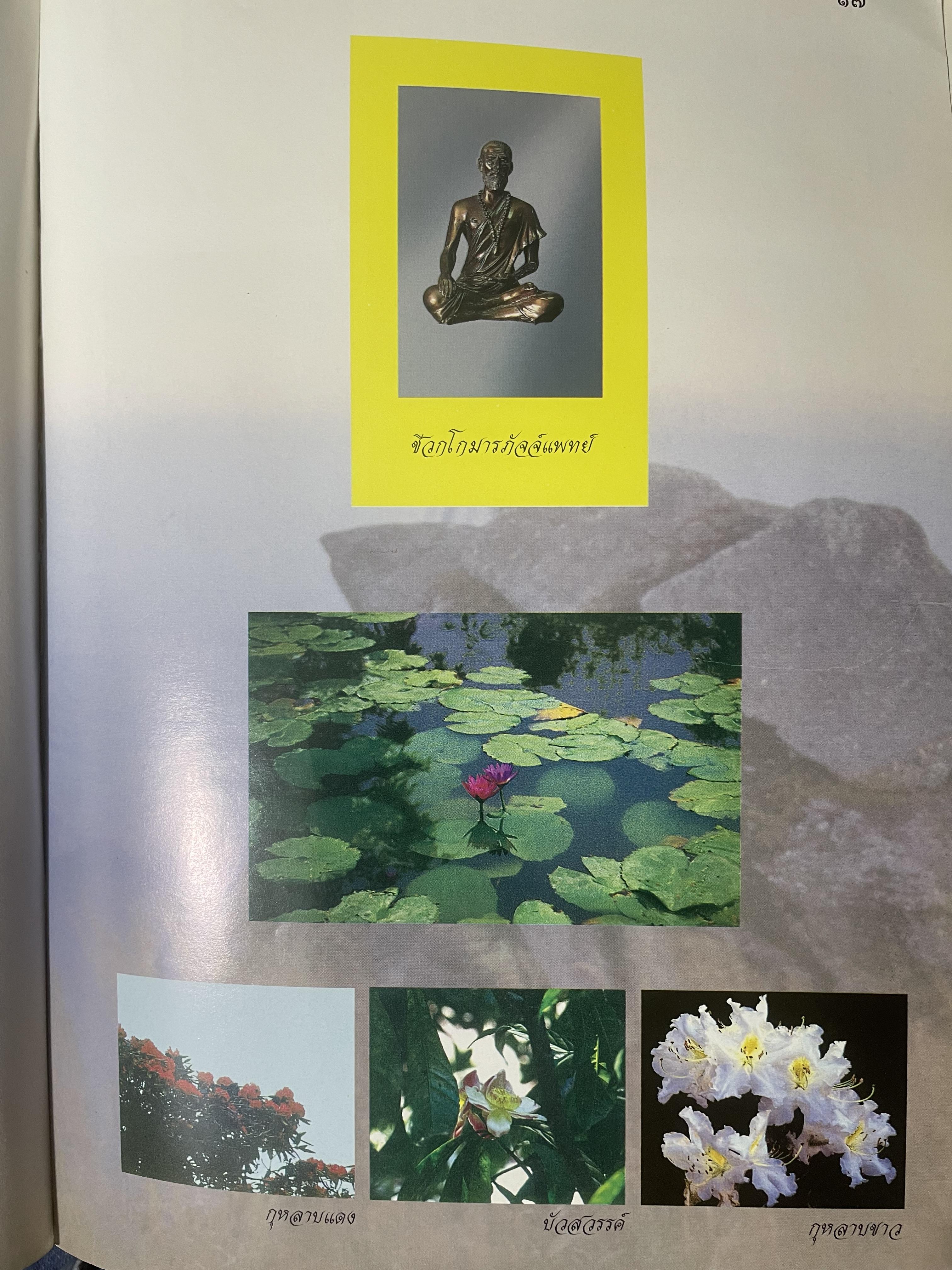 เภสัชกรรมไทยรวมสมุนไพร ฉบับปรับปรุงใหม่ โดน วุฒิ วุฒิธรรมเวช เป็นหนังสือมือสองเล่มใหญ่สภาพดี 4,500 กรัม