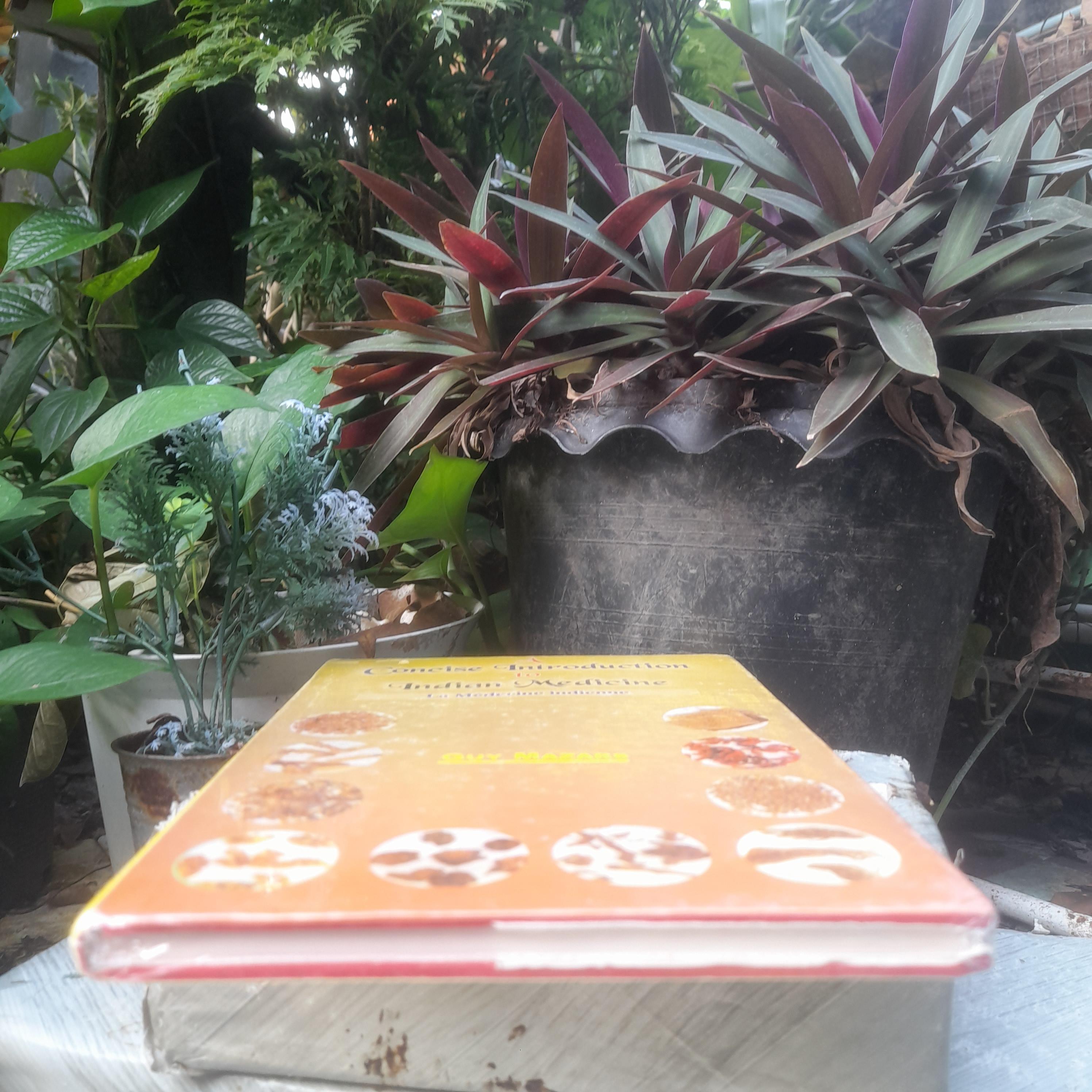 A Concise Introduction to Indian Medicine ความรู้เบื้องต้นเกี่ยวกับการแพทย์อินเดียโดย Guy Mazars หนังสือนำเข้า มือ1 ในซีลครับ