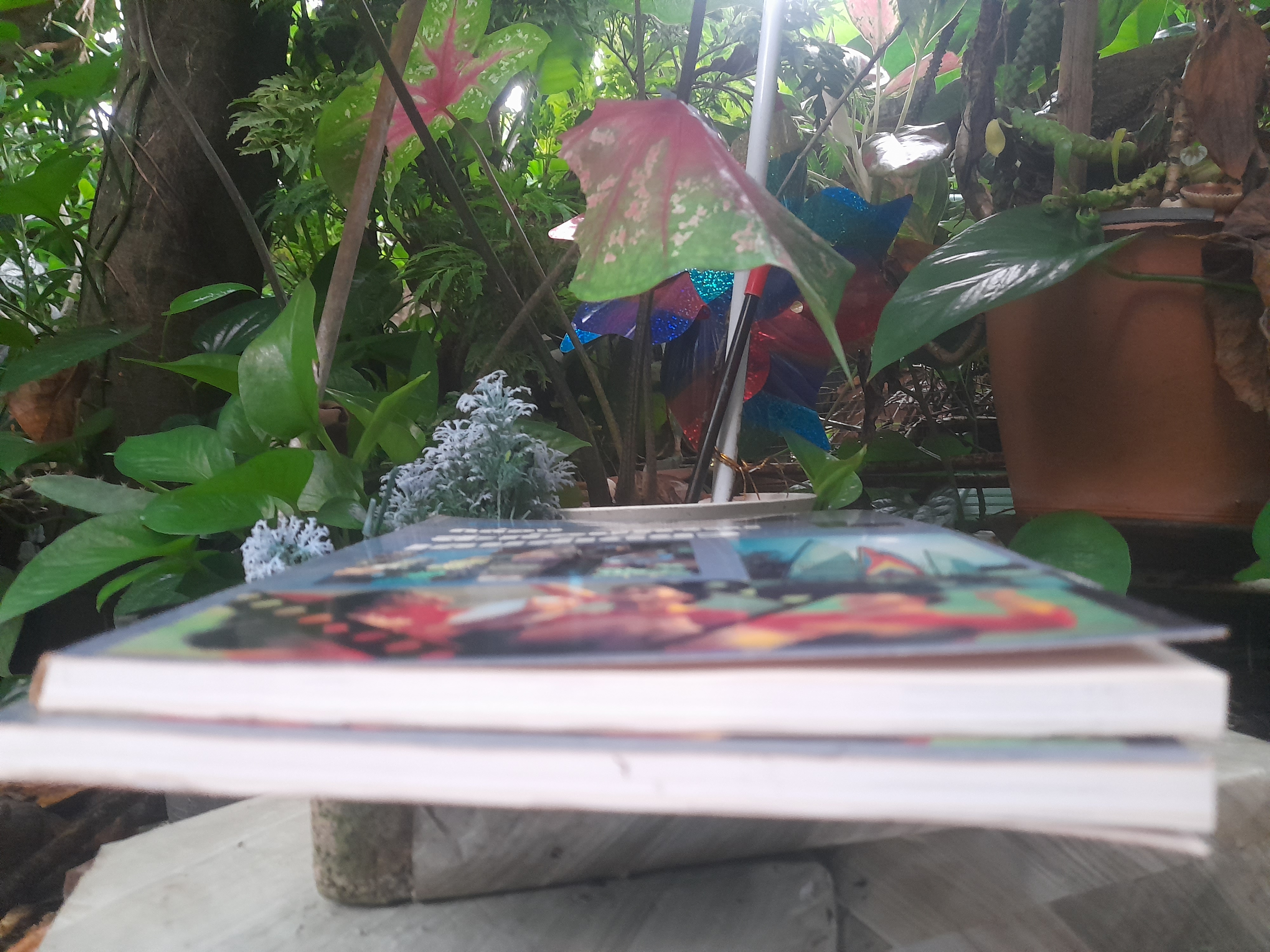 กล้องสะท้อนภาพเลนส์เดี่ยว โดย สุรสีห์ ฉิ่งถิน หนังสือที่ใช้เป็นตำราในการเรียนการสอน วิชาเทคโนโลยีการถ่ายภาพ มหาลัยมหิดล