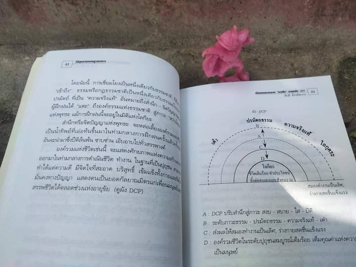 วิถีสุขภาพแบบบูรณาการ และ สุขภาพแบบบูรณาการ ประสานศาสตร์ พุทธ เต๋า โยคะ