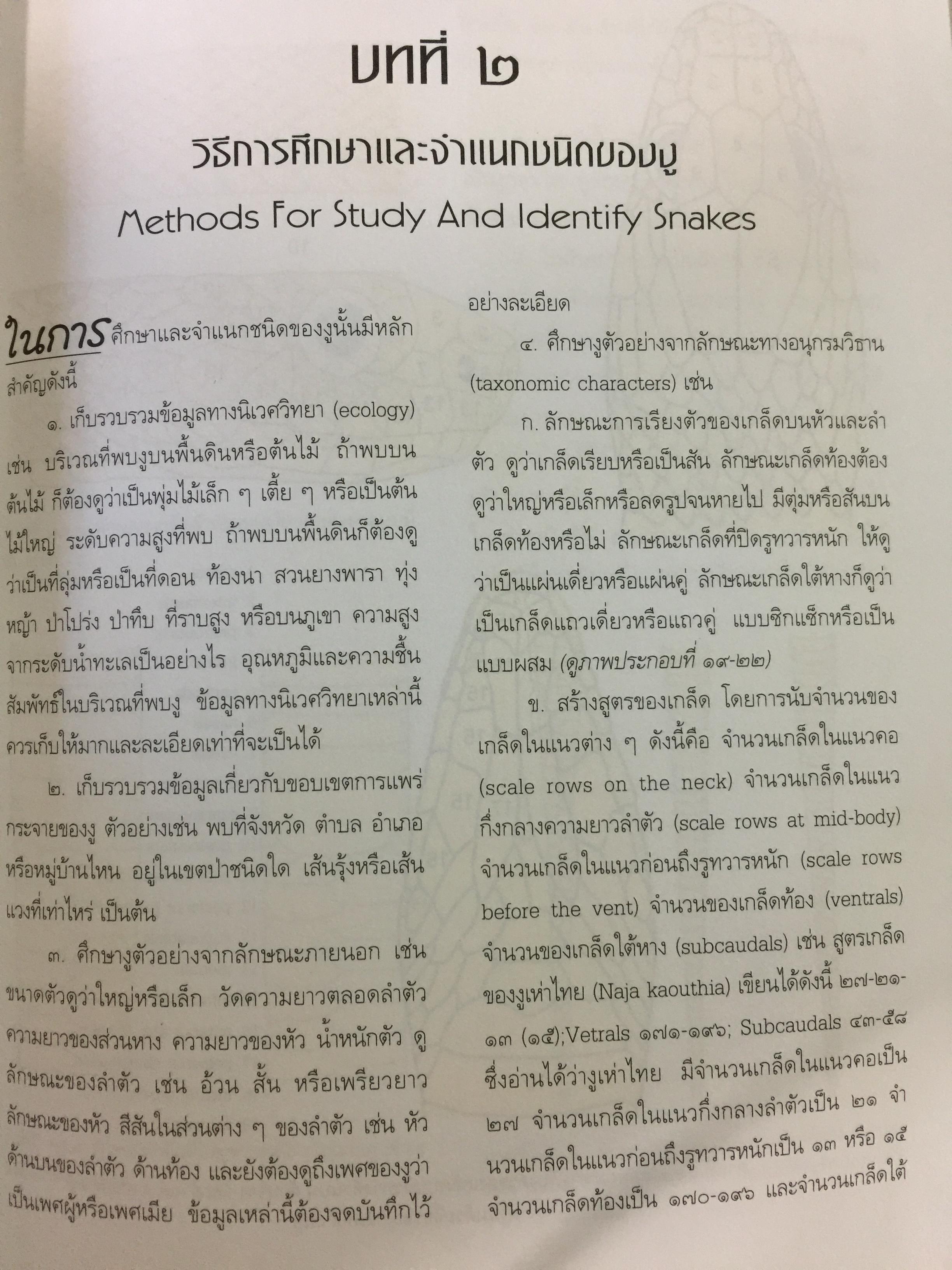 งูพิษ ในประเทศไทย ทุกแง่มุมชีวิตและลักษณะนิสัยของงูพิษ โดยผู้เชี่ยวชาญเรื่องงูมากที่สุดในประเทศไทยผู้เขียน ไพบูลย์ จินตกุล 0 กก.