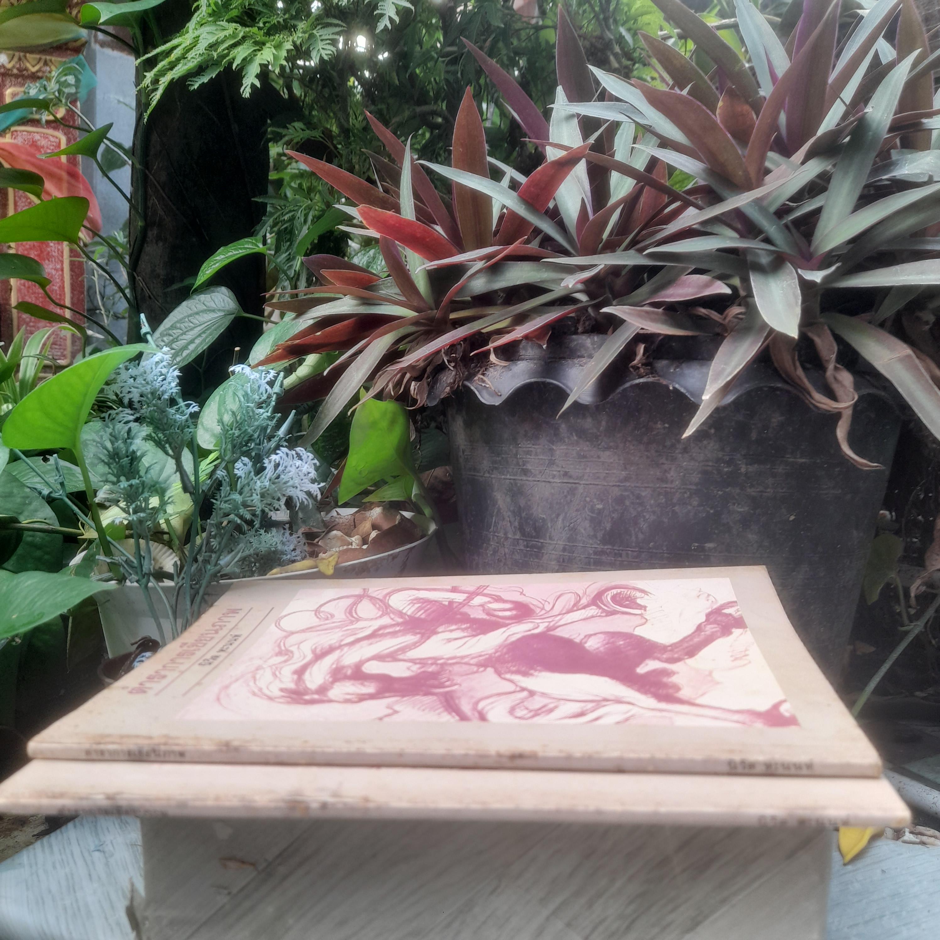 ตำราการเขียนภาพ โดย นิวิต หะนนท์ หนังสือมือหนึ่ง สภาพอ่าน