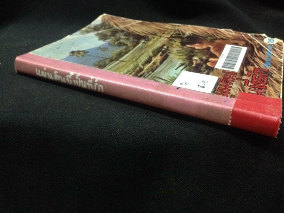 แผ่นดินนี้เป็นที่รัก