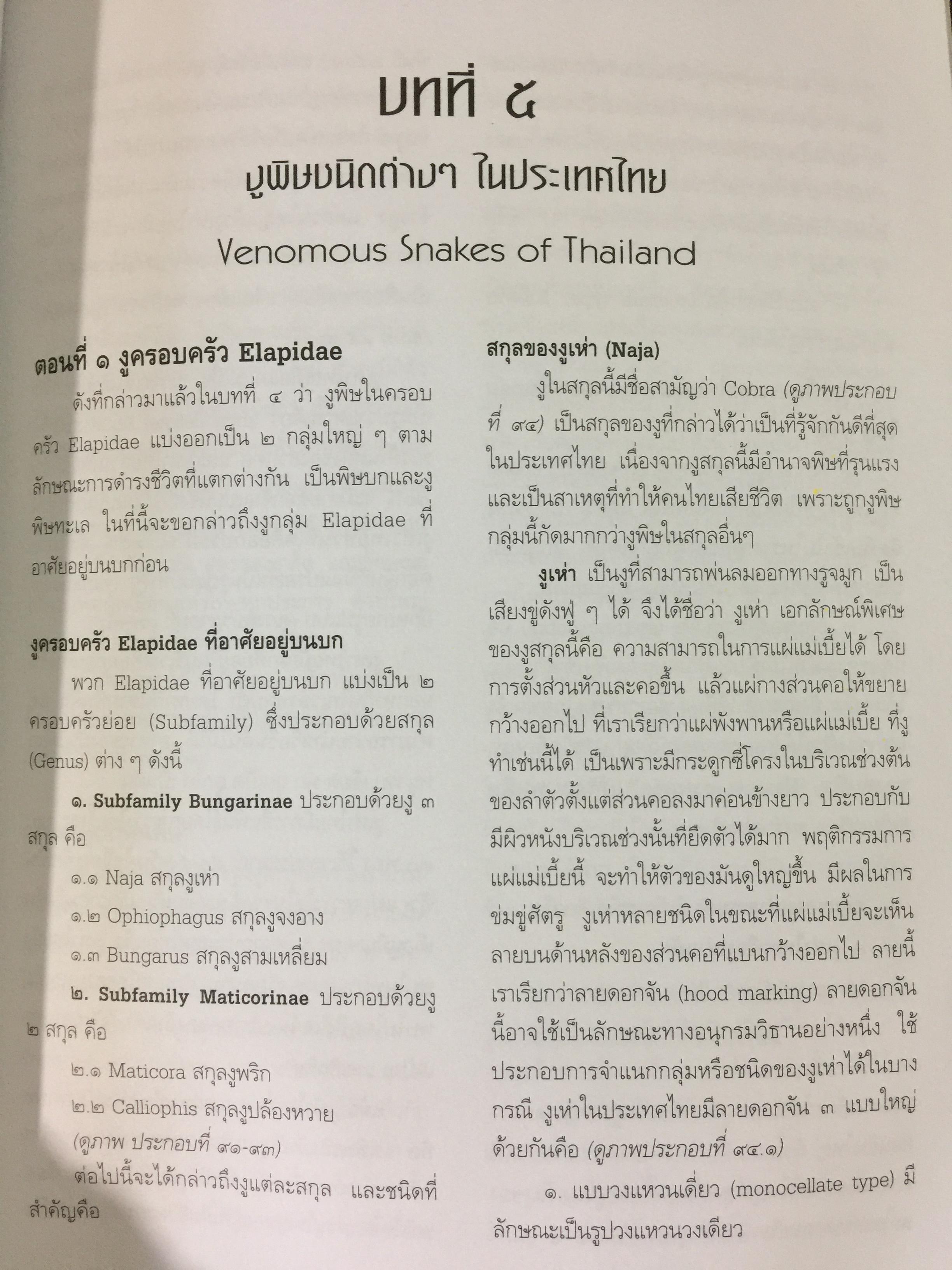 งูพิษ ในประเทศไทย ทุกแง่มุมชีวิตและลักษณะนิสัยของงูพิษ โดยผู้เชี่ยวชาญเรื่องงูมากที่สุดในประเทศไทยผู้เขียน ไพบูลย์ จินตกุล 0 กก.