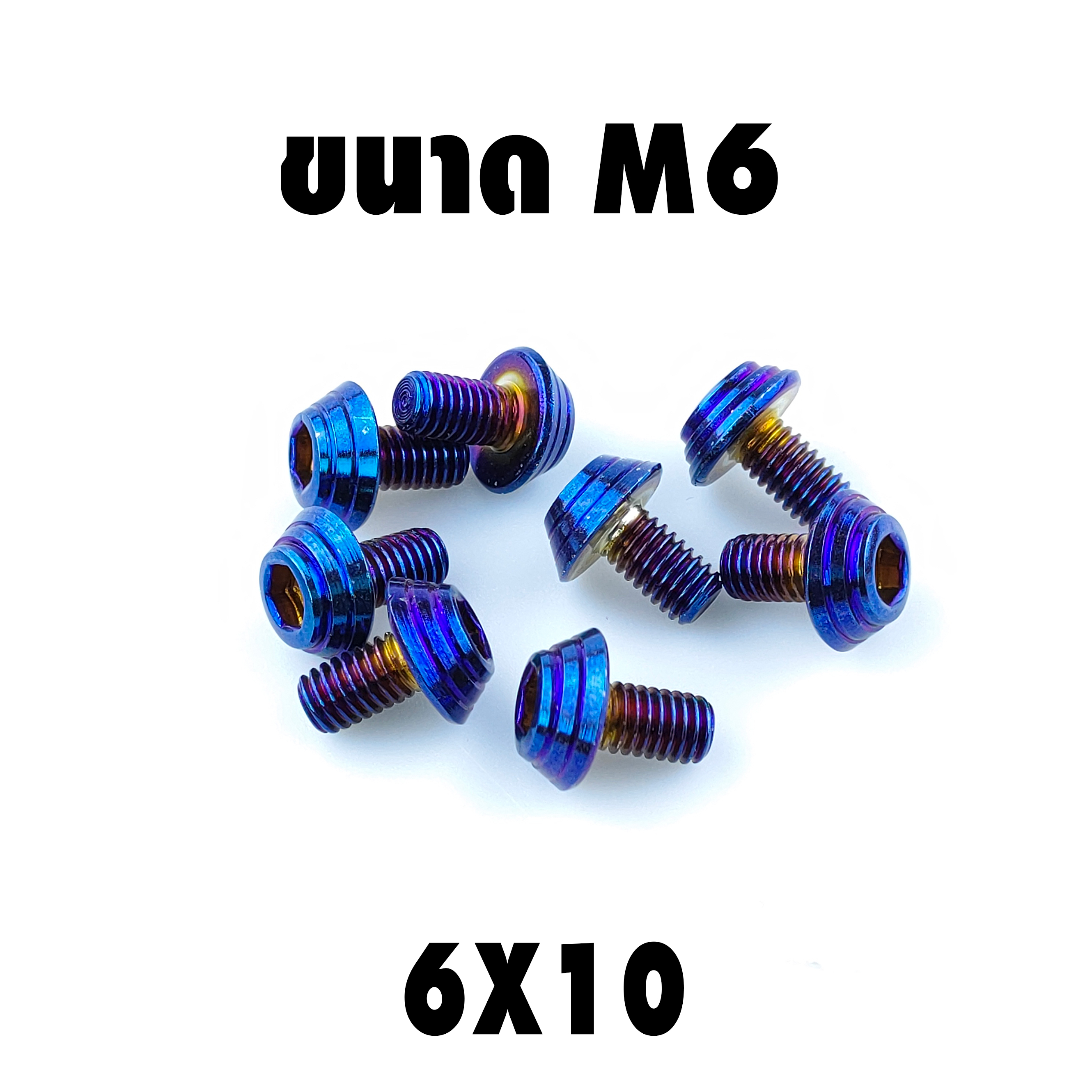 น็อตแต่งก้นหอย (เบอร์10 M6X10)