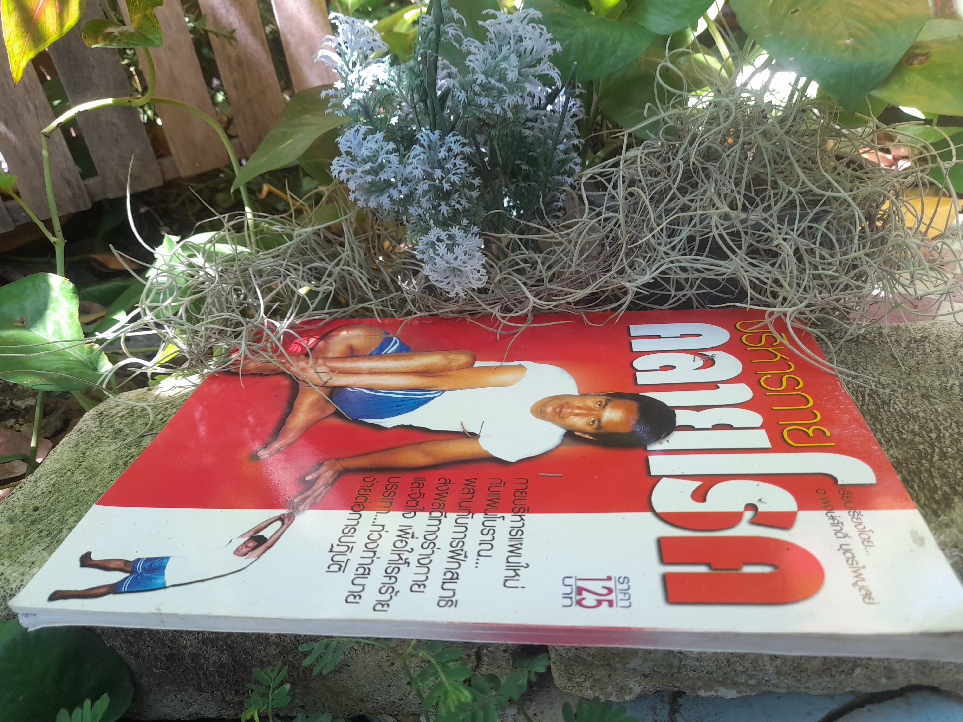 การบริหารกาย คลายโรค โดย อ. พงษ์ศักดิ์ บุตรไพบูลย์ หนังสือที่ผสานการบริหารกายแผนใหม่ แผนโบราณและการฝึกสมาธิไว้ด้วยกัน