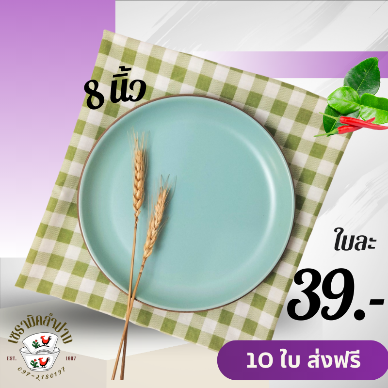 จานเซรามิค 8 นิ้ว 10 ใบ ส่งฟรี ถ้วยจานชาม เซรามิค จากลำปาง ถ้วยจานสไตล์มินิมอล